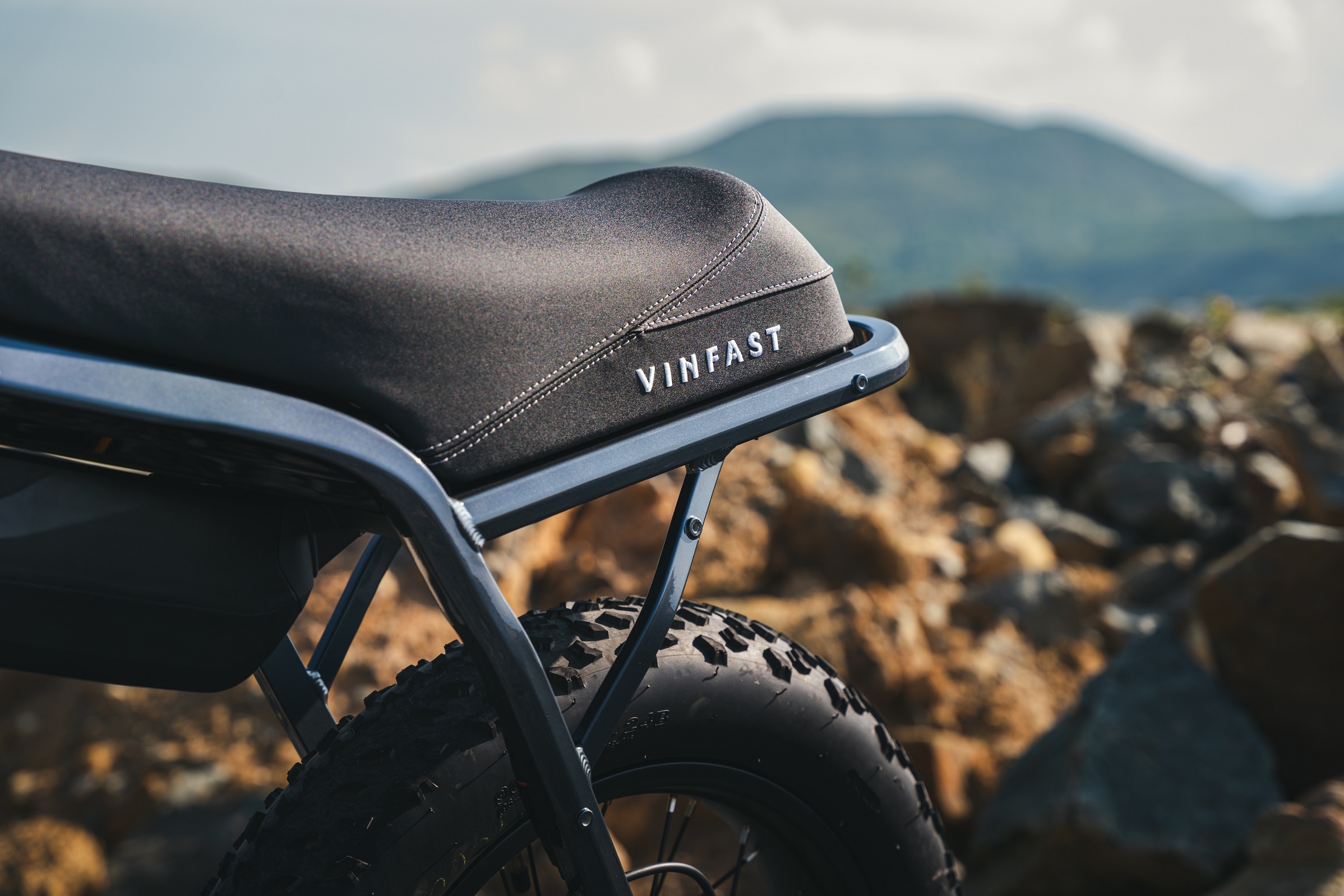 VF DrgnFly ảnh 5 VF DrgnFly anh 5