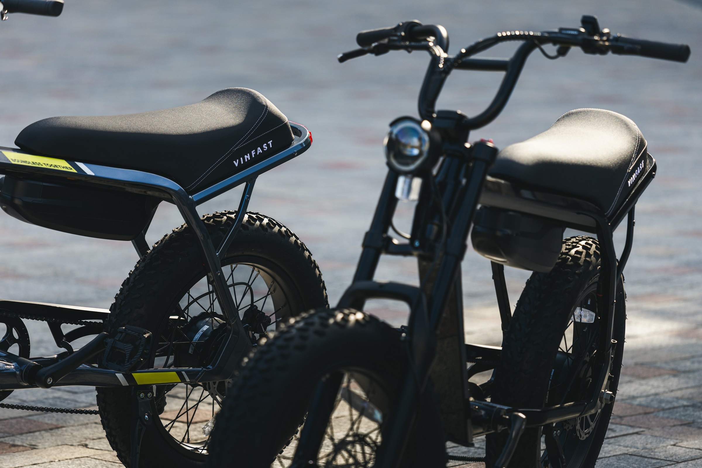 VF DrgnFly ảnh 4 VF DrgnFly anh 4