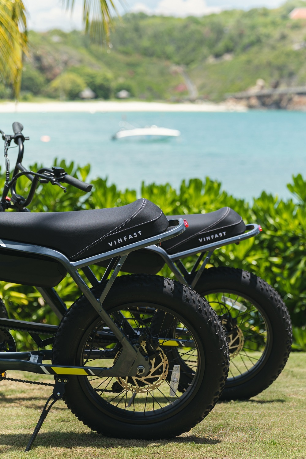 VF DrgnFly ảnh 6 VF DrgnFly anh 6