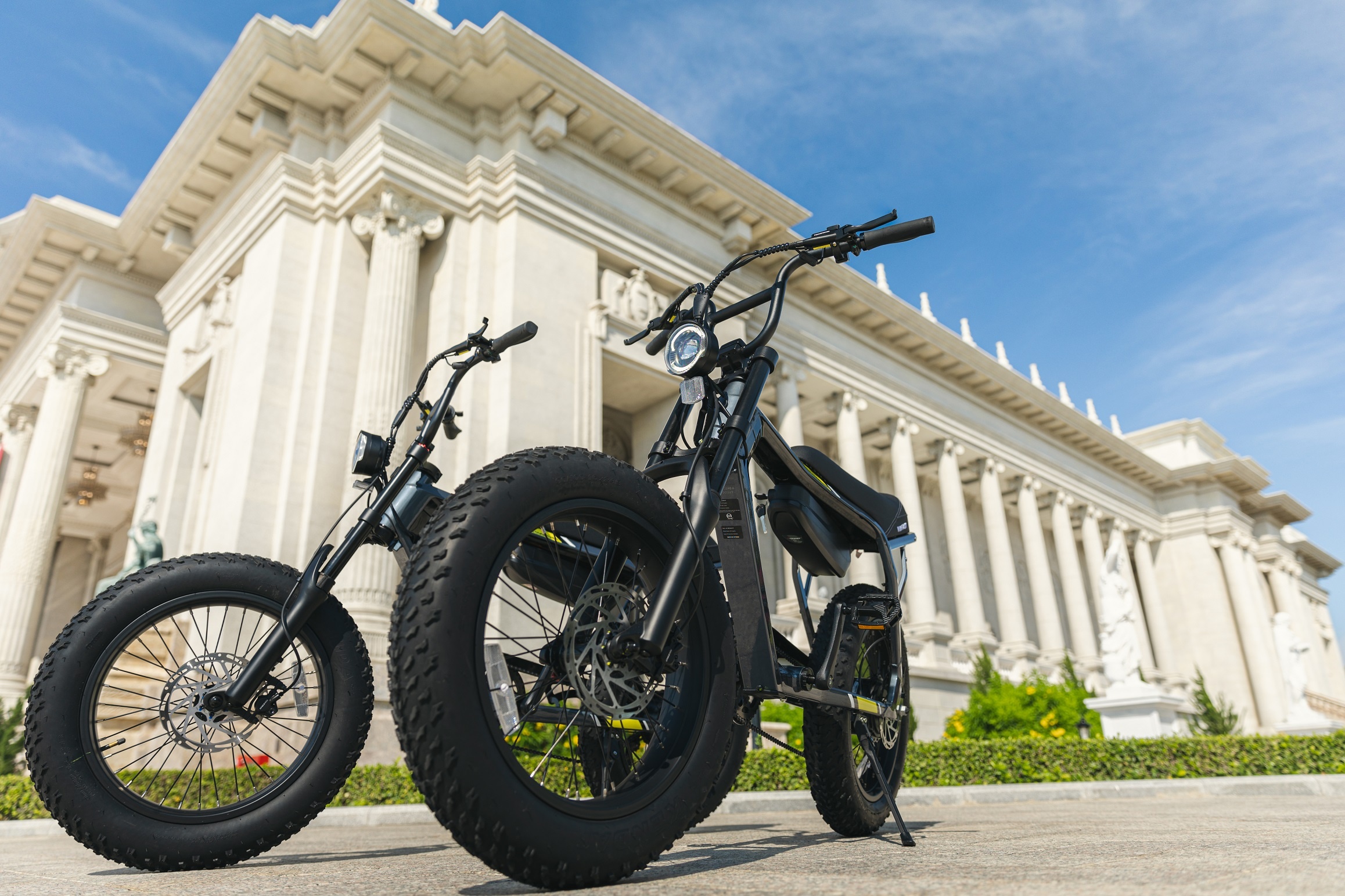 VF DrgnFly ảnh 2 VF DrgnFly anh 2