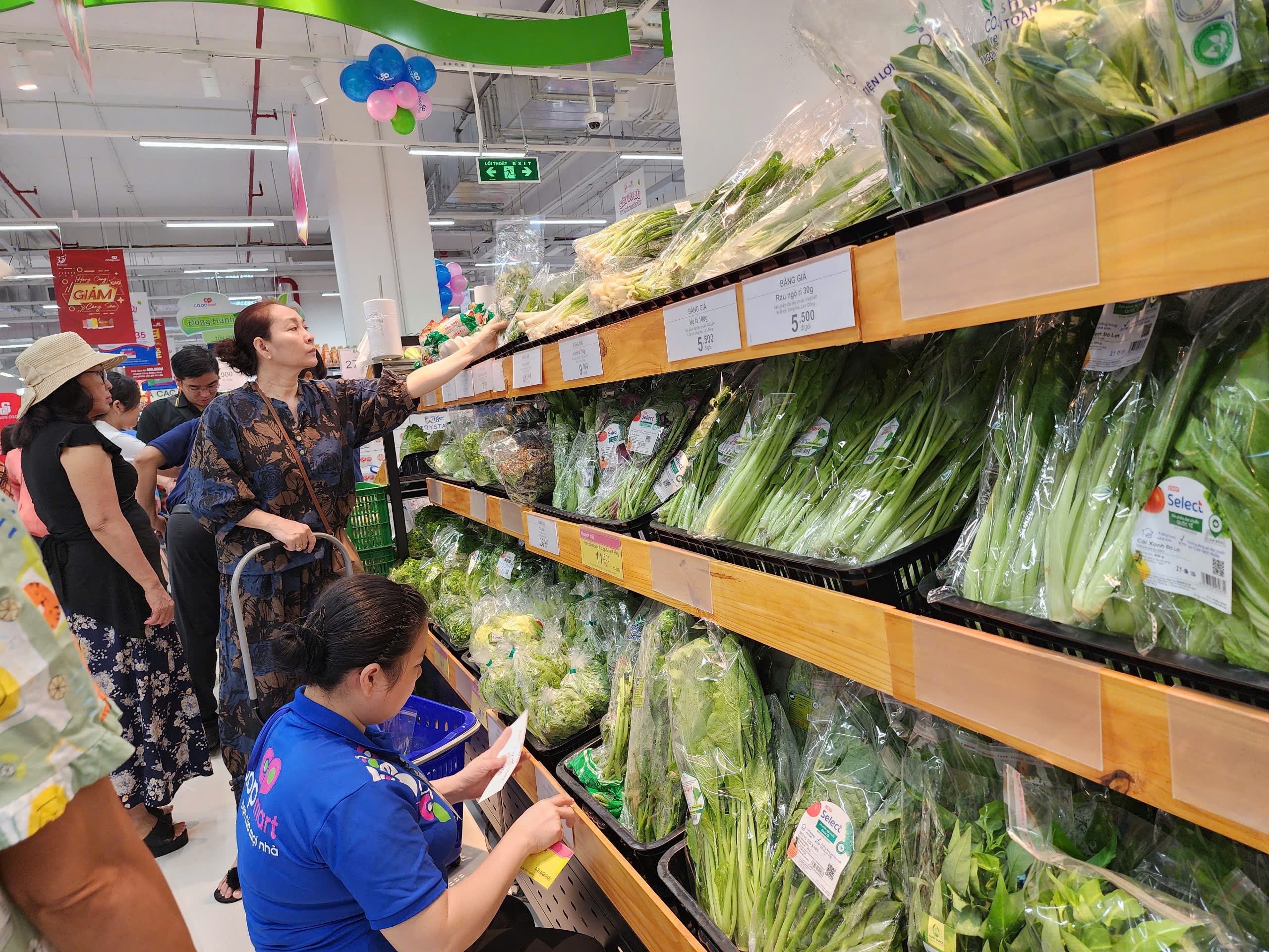 Co.opmart anh 5