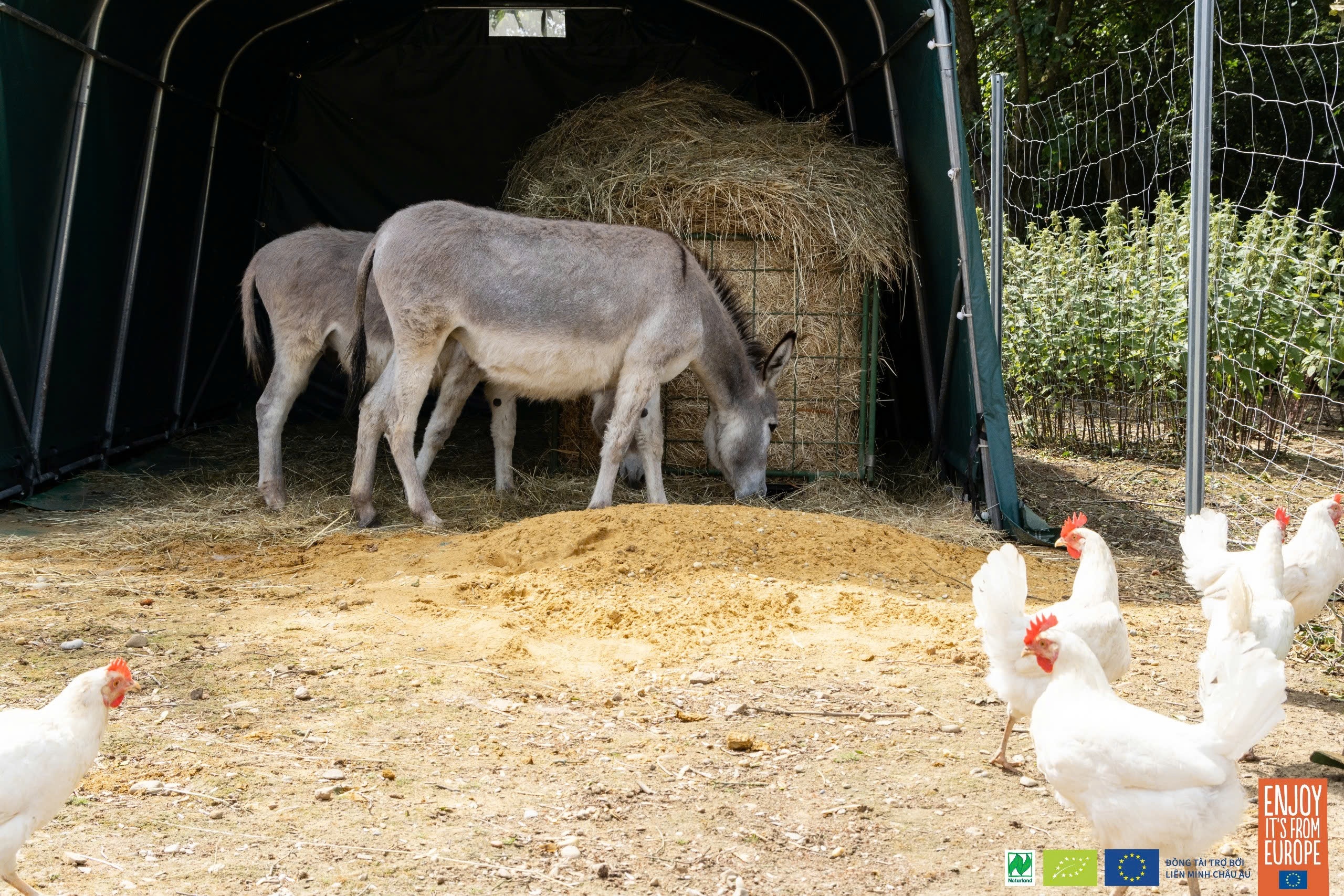 Nong nghiep huu co,  Naturland anh 2