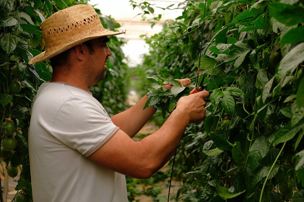 Bi quyet dang sau su thanh cong cua nong nghiep huu co EU hinh anh