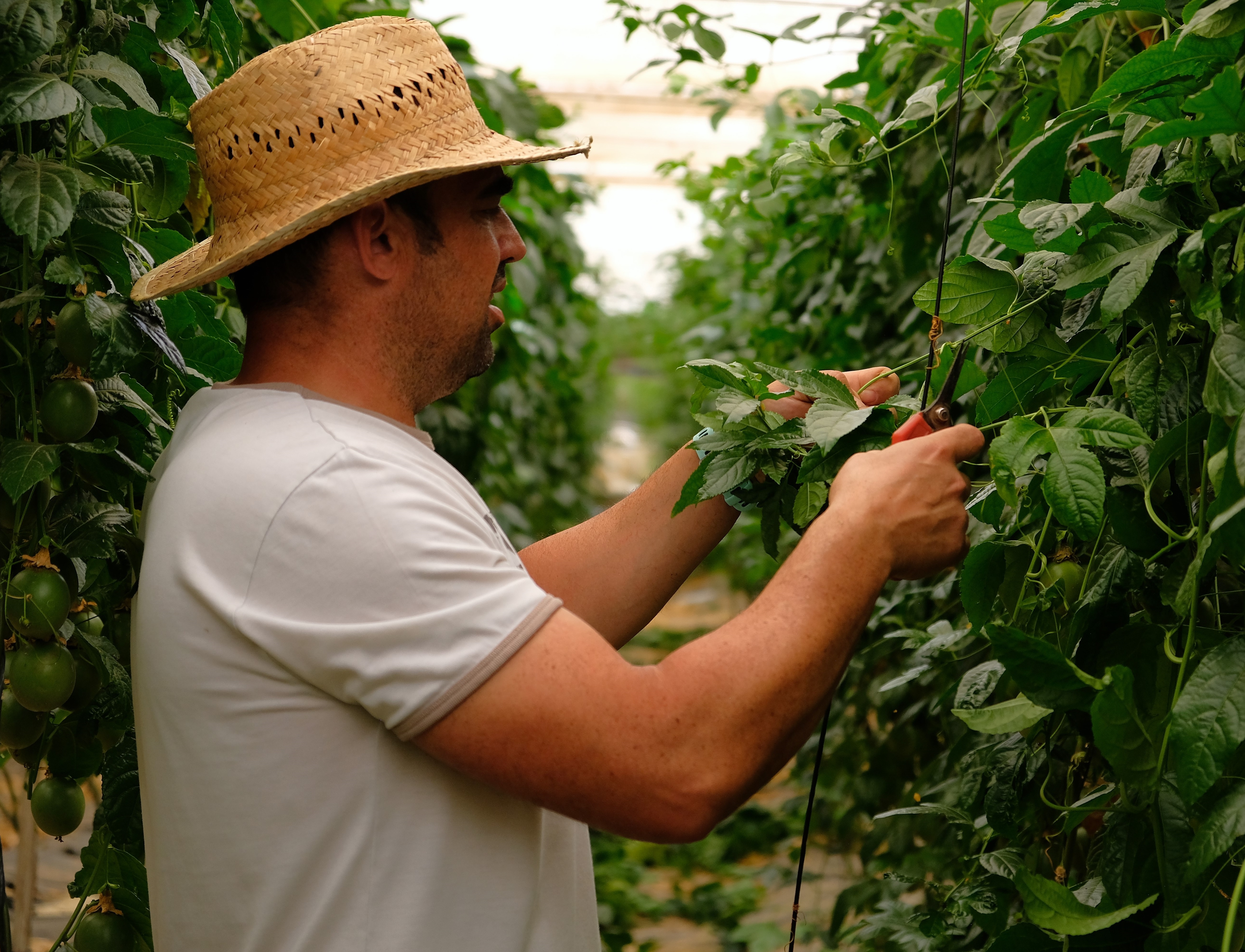 Nong nghiep huu co,  Naturland anh 1