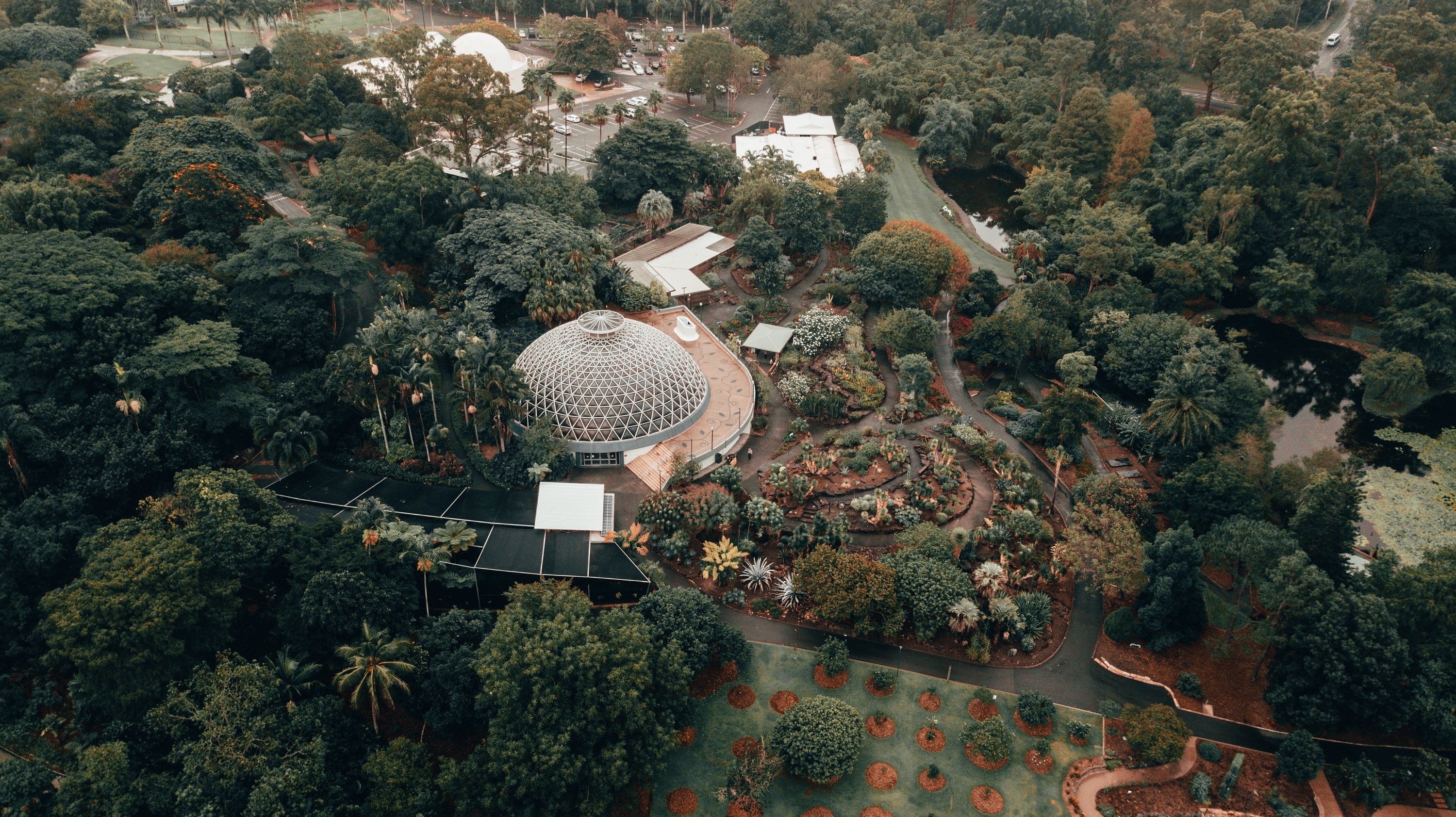 Vietjet,  SkyJoy anh 8