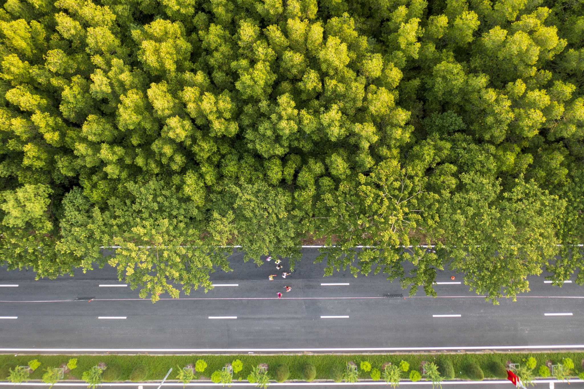 Green CG Marathon HDBank 2024 anh 8