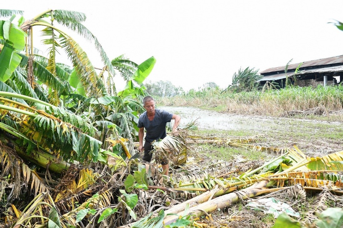 FrieslandCampina anh 1