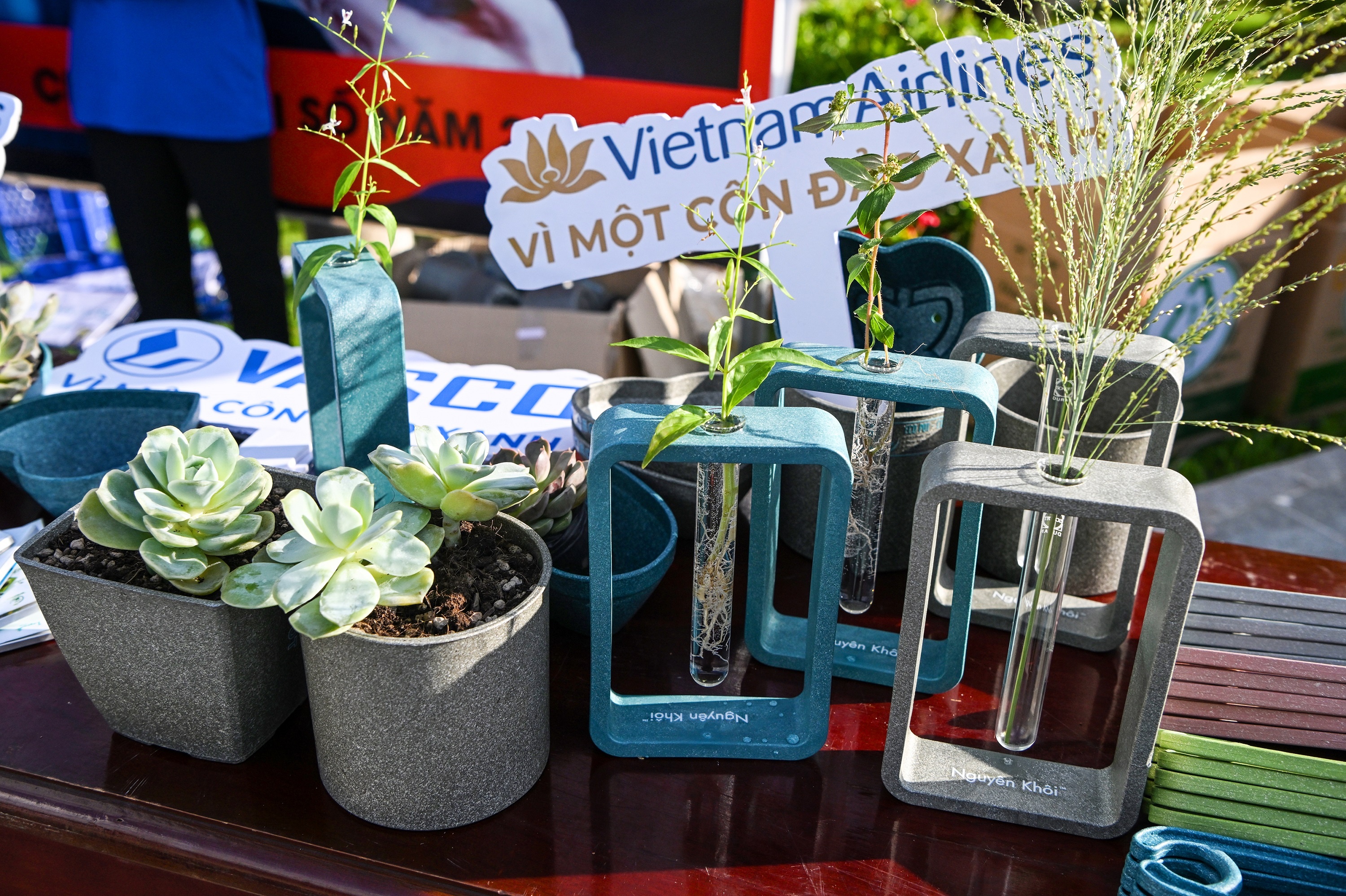 Vietnam Airlines,  VASCO anh 5