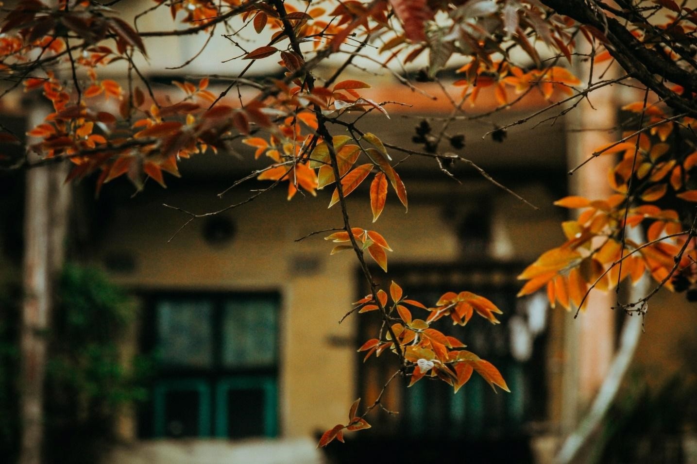 Trai nghiem gi o Ha Noi trong mua thu nay? hinh anh