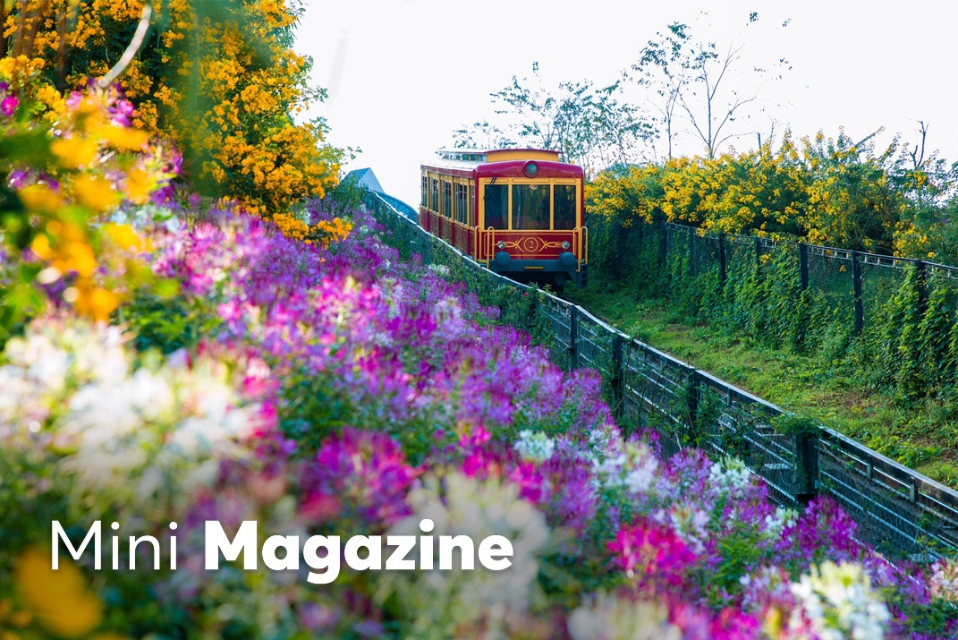 Goi y 'len nui, xuong bien' di choi mien Bac Viet Nam mua thu dong hinh anh