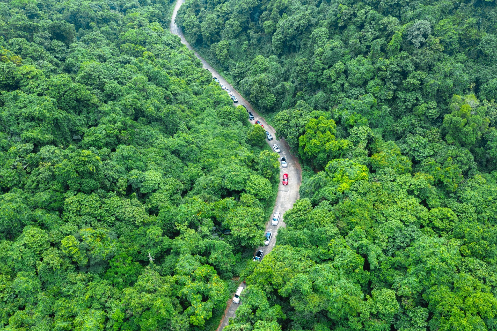 VF 9,  333 xe VF 9 anh 5