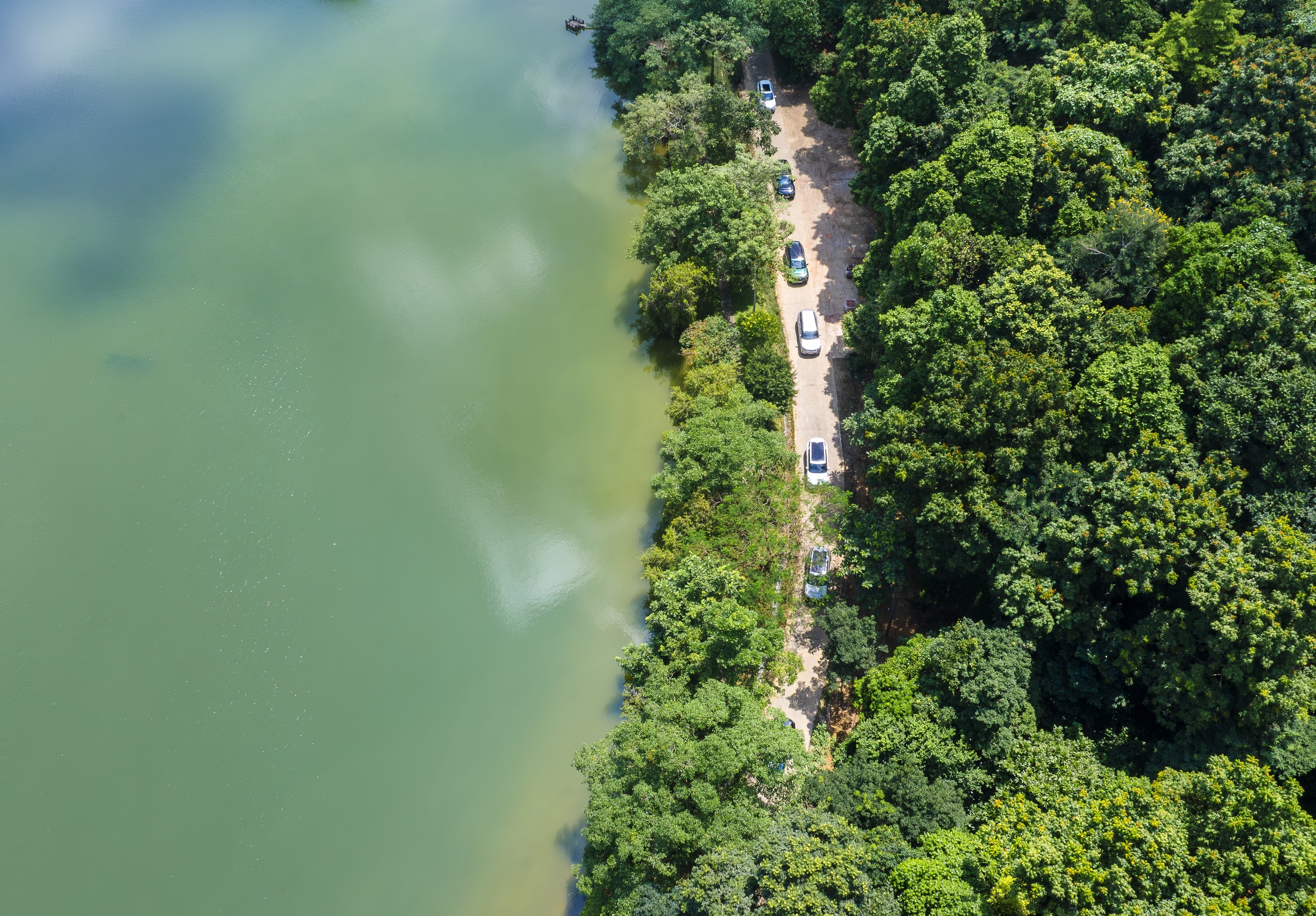 VF 9, 333 xe VF 9 ảnh 6 VF 9, 333 xe VF 9 anh 6