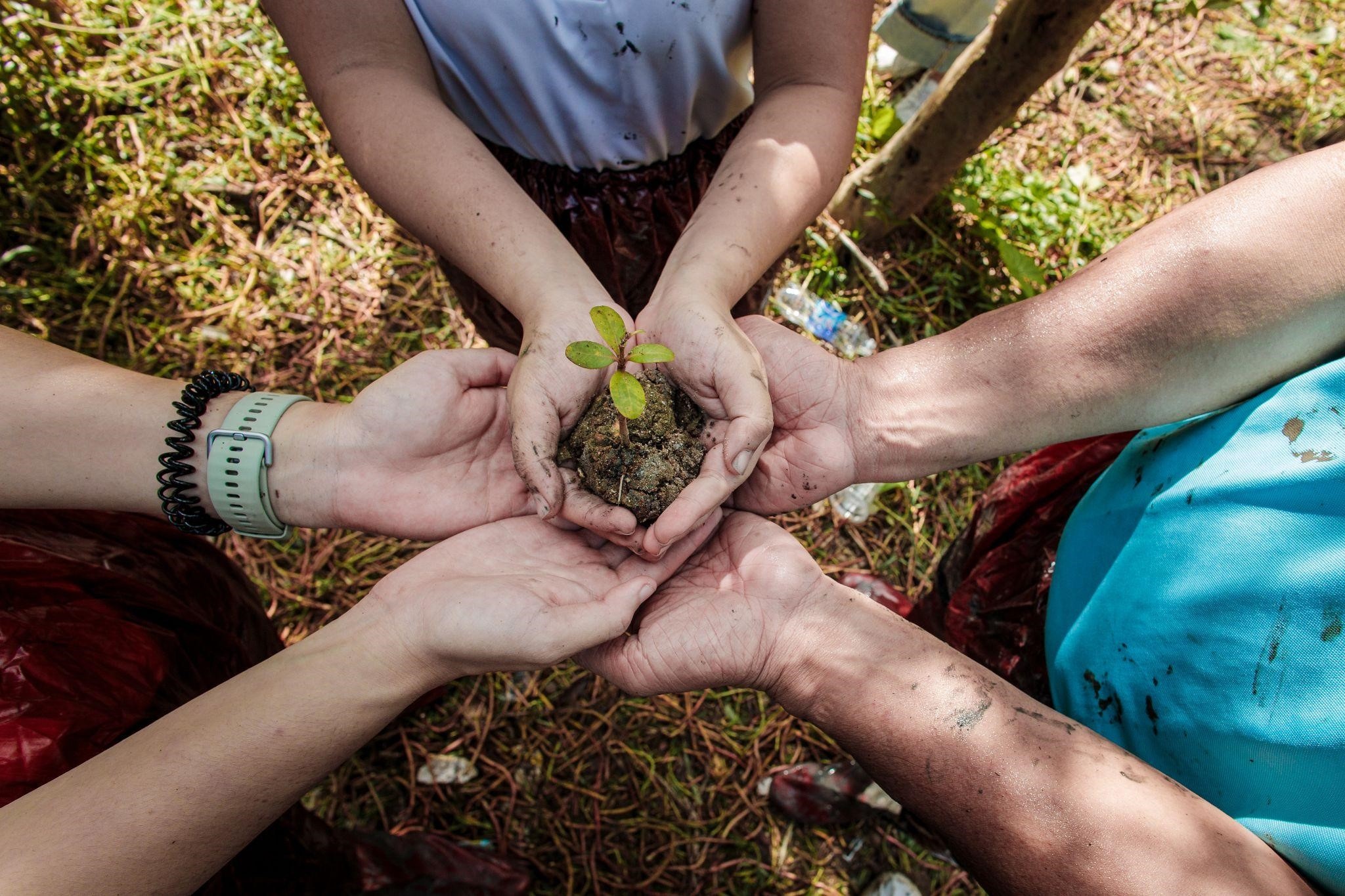 Hanh trinh Unilever phu xanh Viet Nam hinh anh
