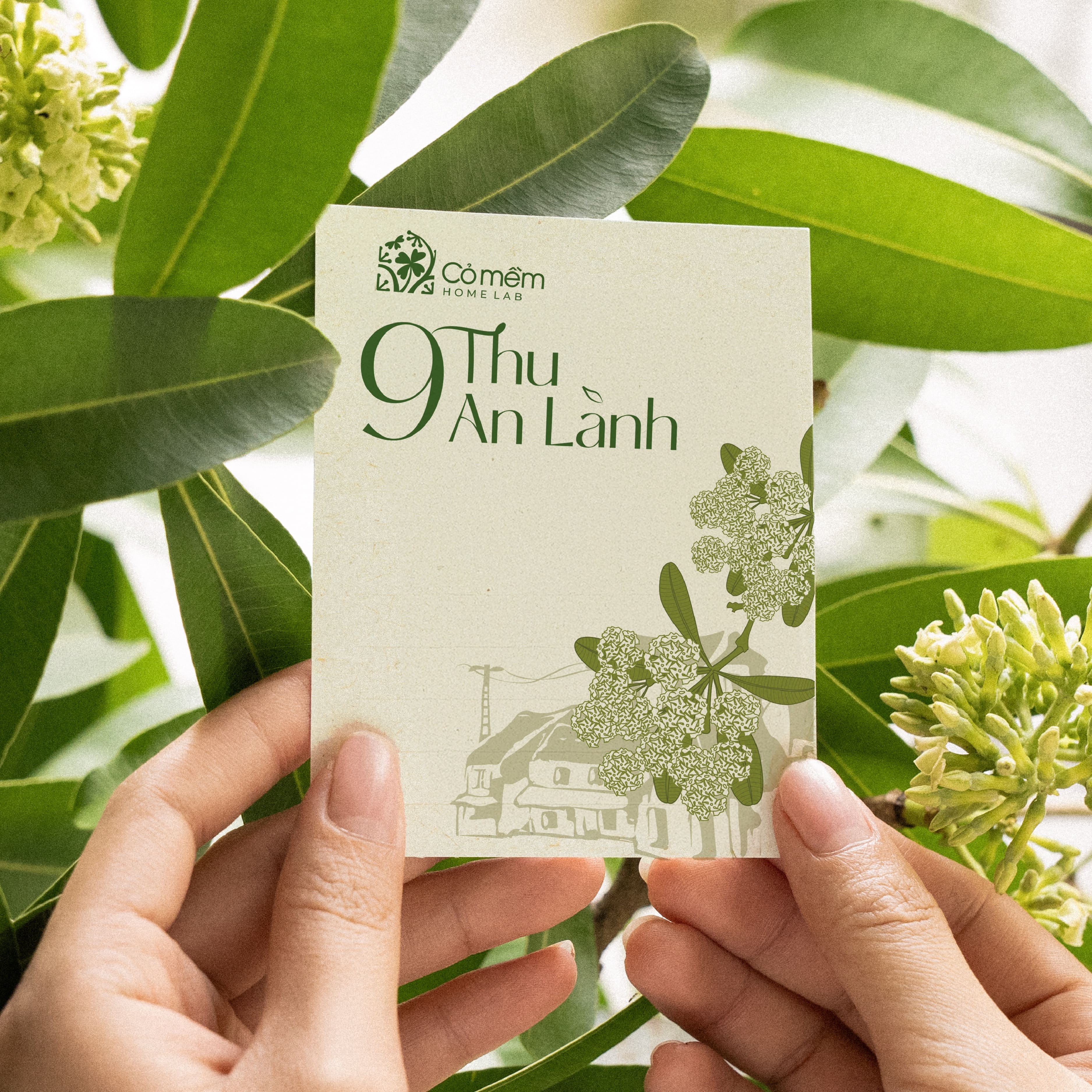 Sua tam hoa sua anh 3