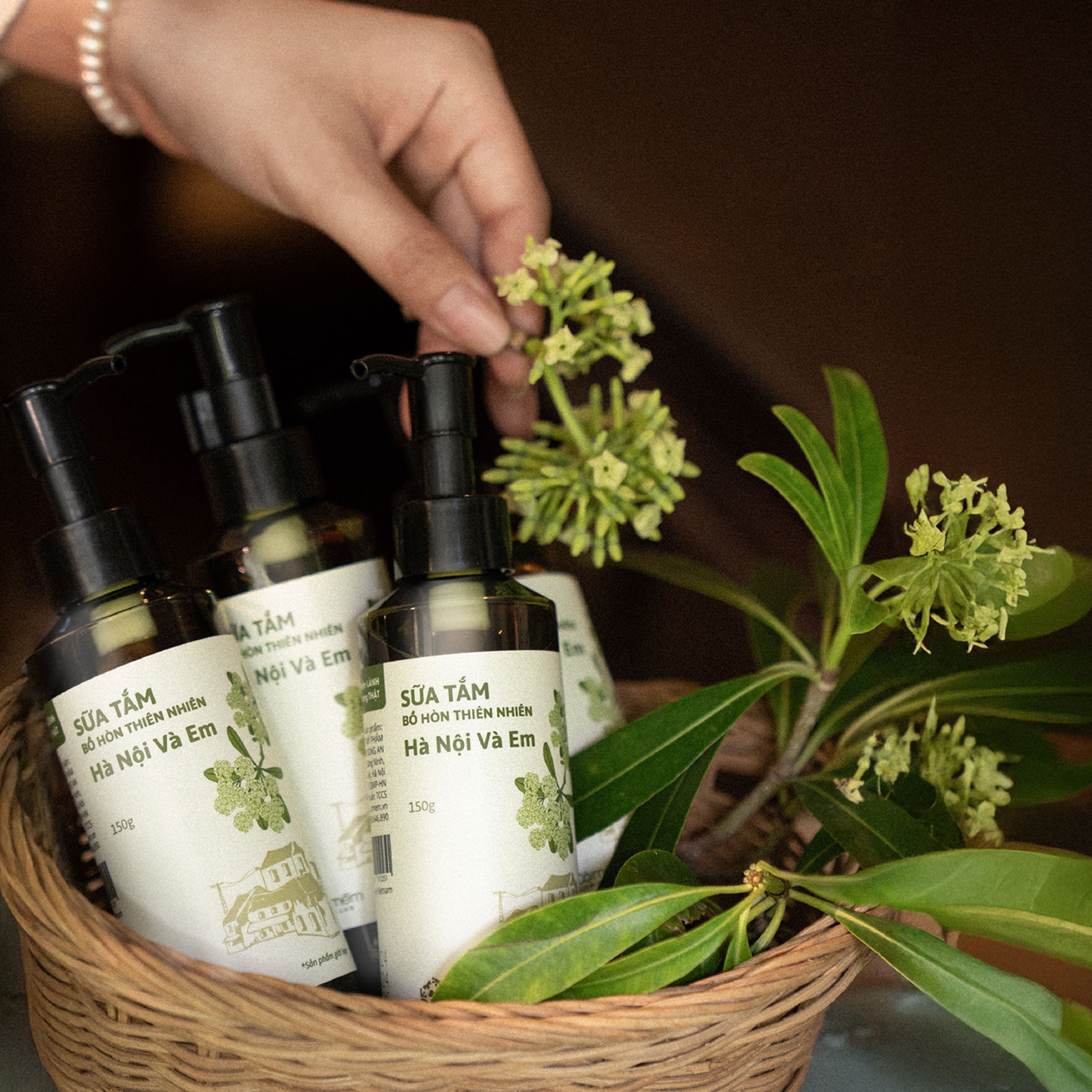 Sua tam hoa sua anh 4