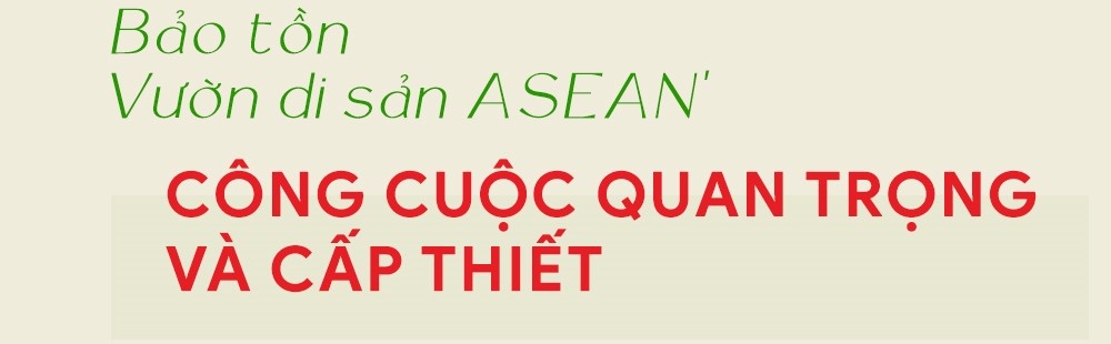 J&T ảnh 2 J&T anh 2