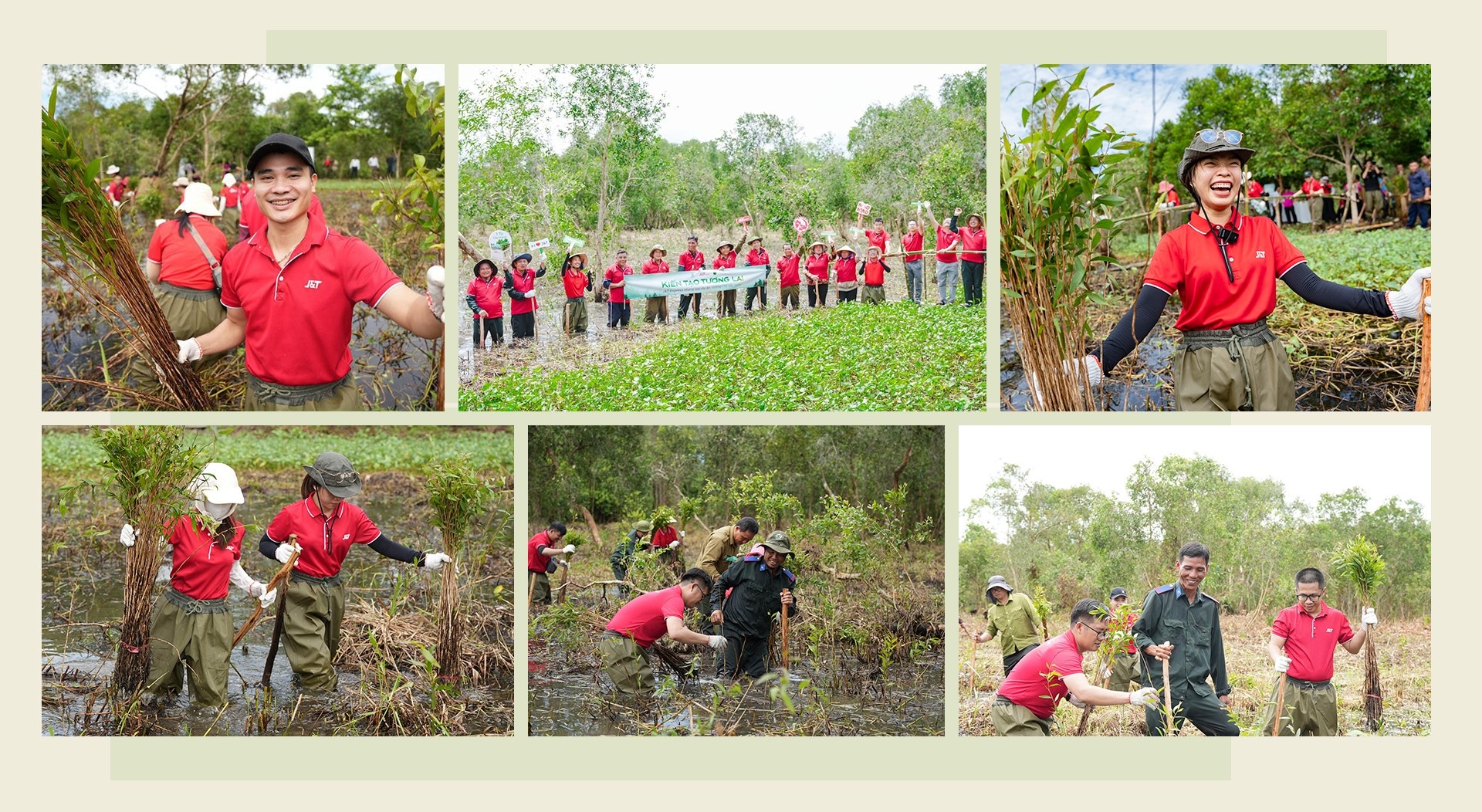 J&T ảnh 9 J&T anh 9