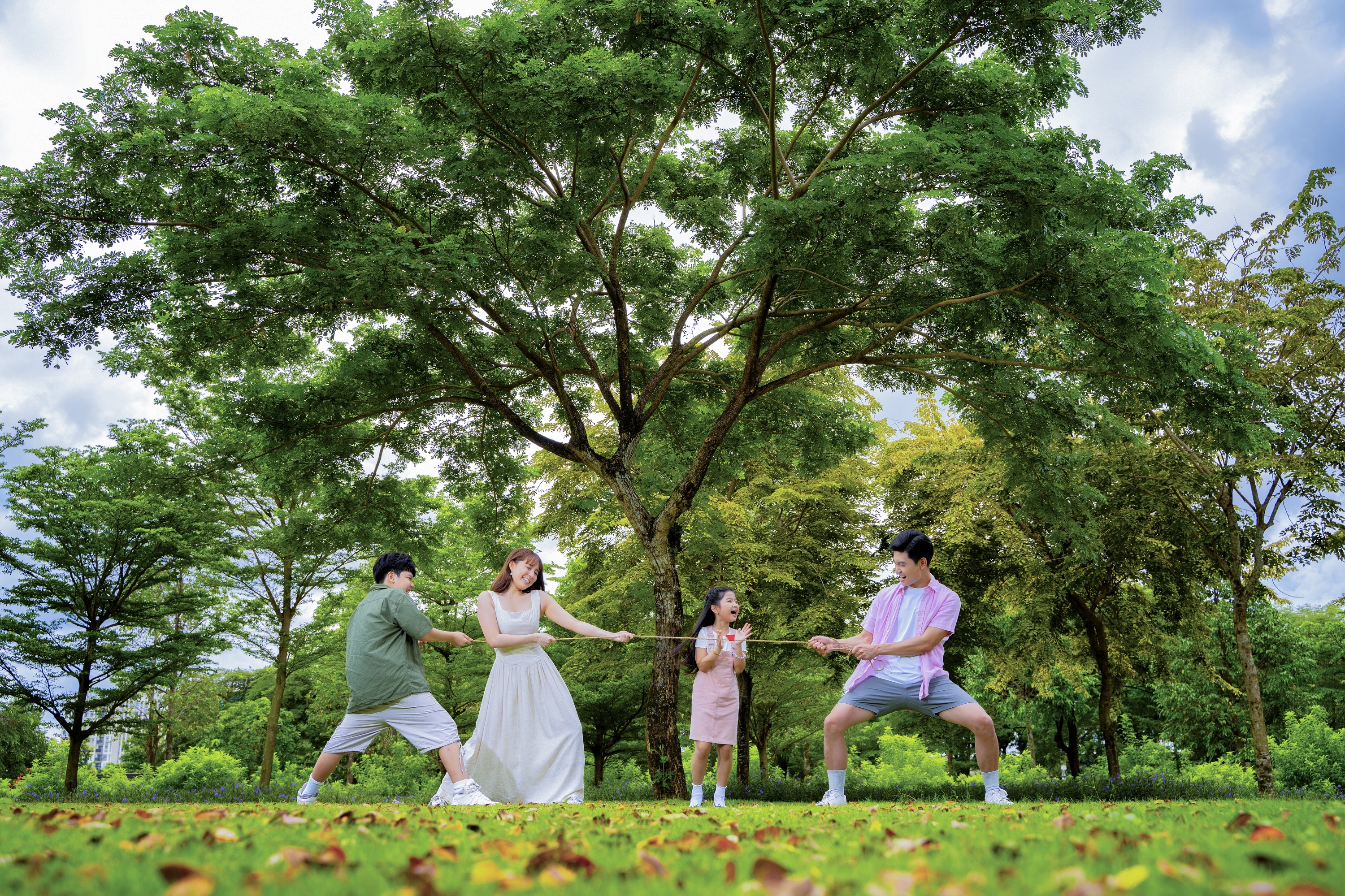 Nam Long,  kien tao do thi anh 36