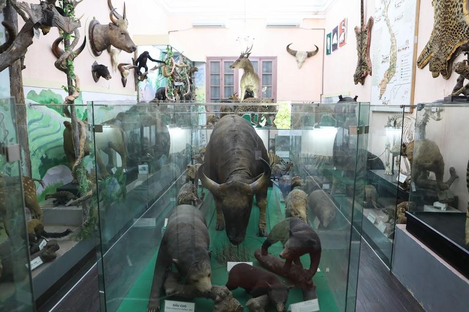 Le hoi Thiet ke anh 7