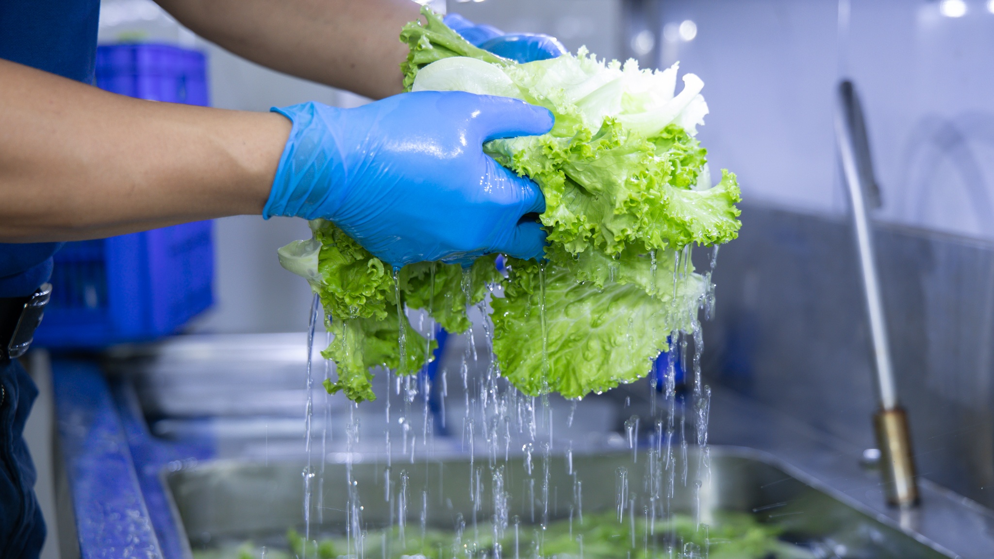 ShopeeFood ảnh 6 ShopeeFood anh 6