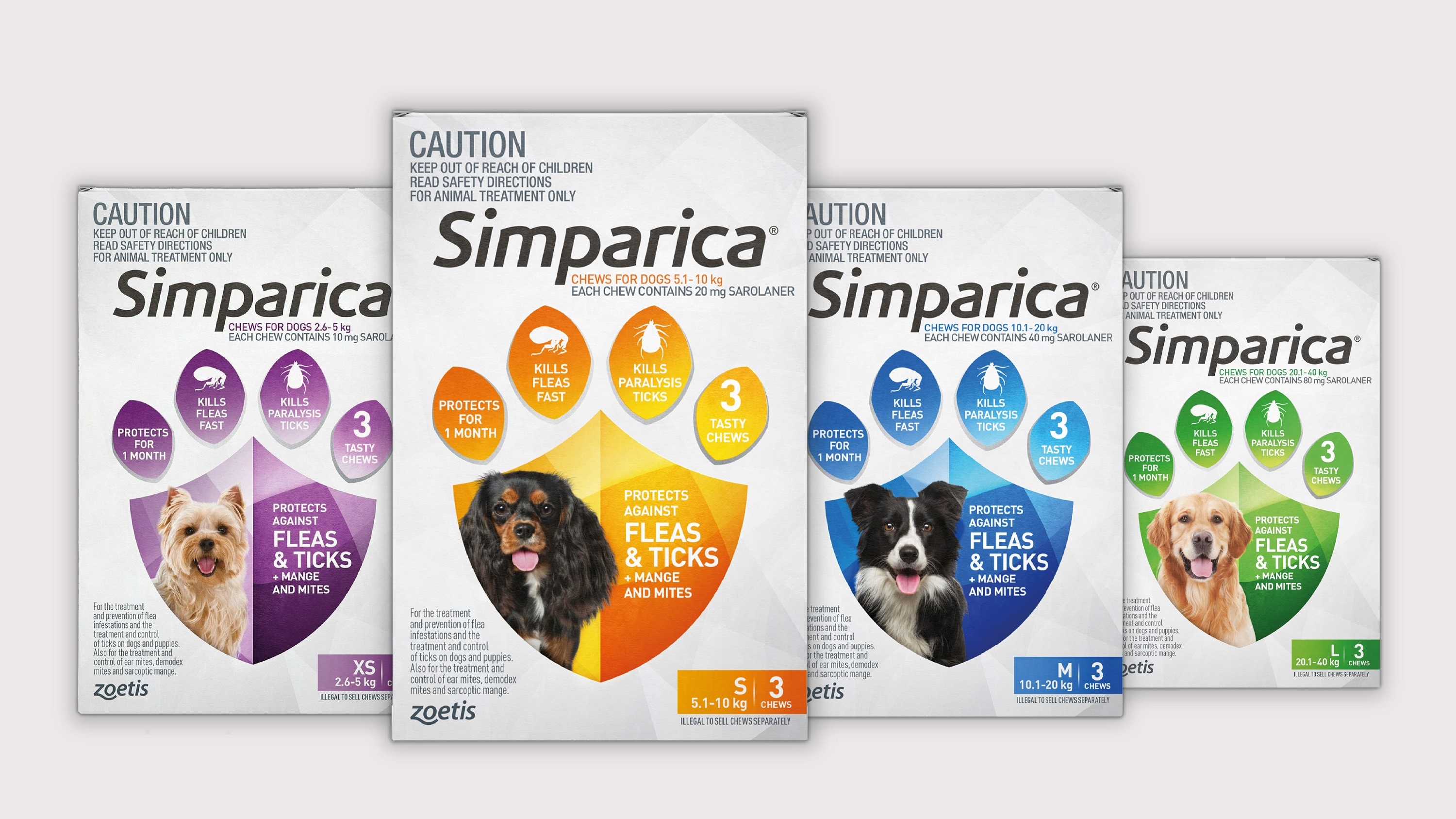 Zoetis Viet Nam,  thu y anh 3