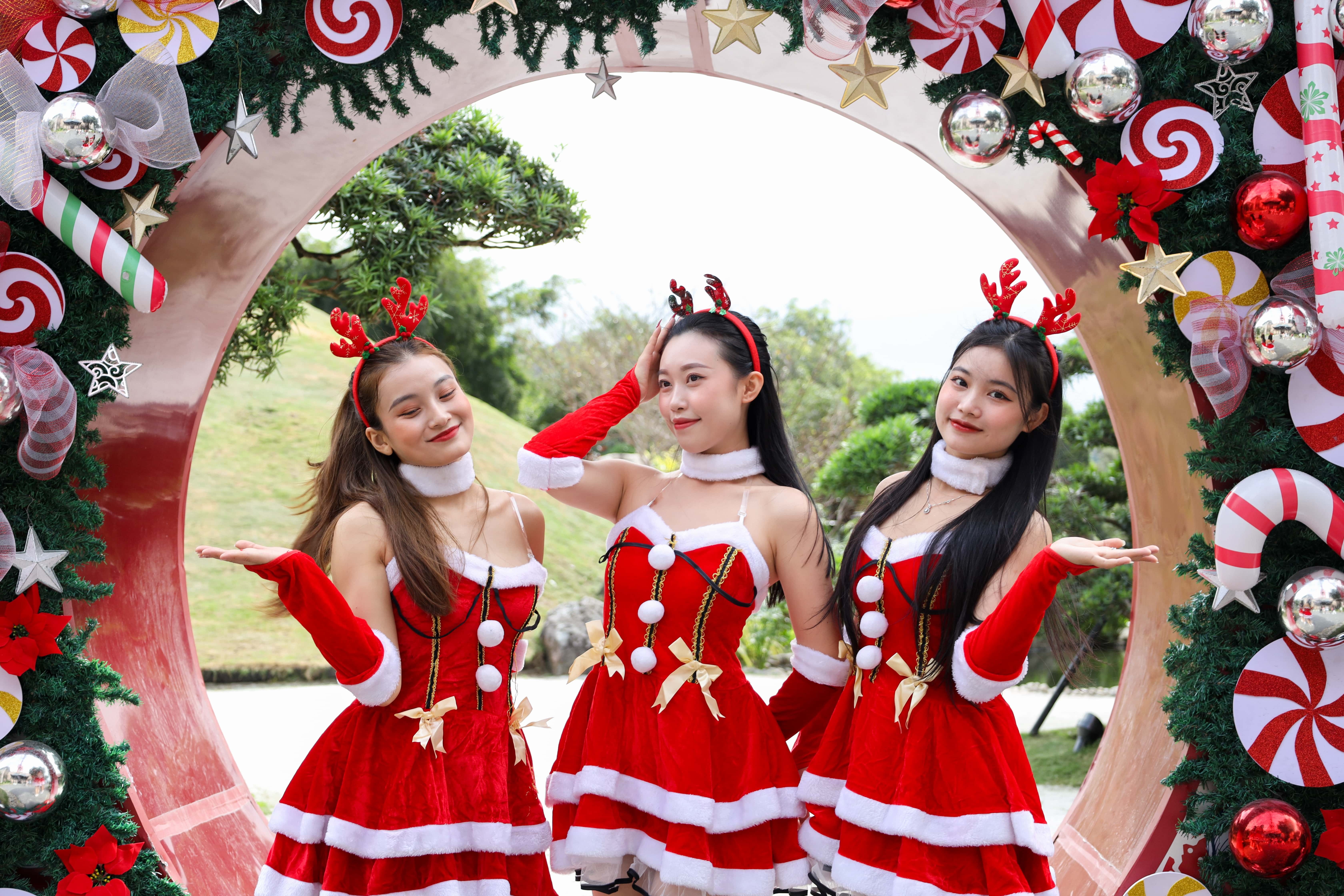 Nhung mien Giang sinh co tich khong the bo lo tai mien Bac hinh anh