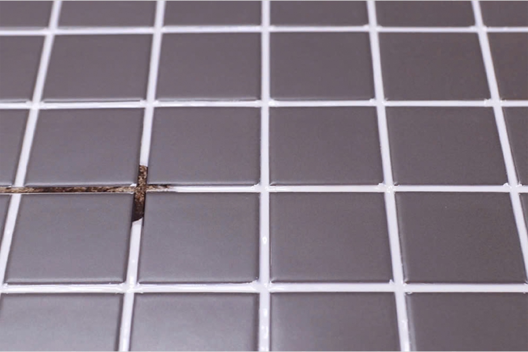 Sika Việt Nam ảnh 6 Sika Viet Nam anh 6