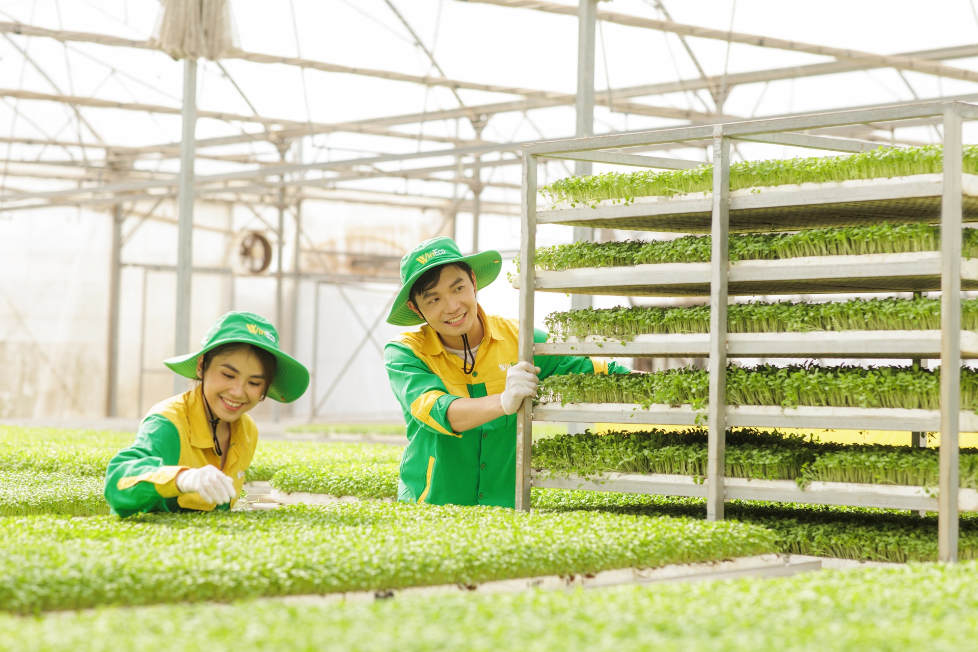 WinEco,  nong nghiep xanh anh 3