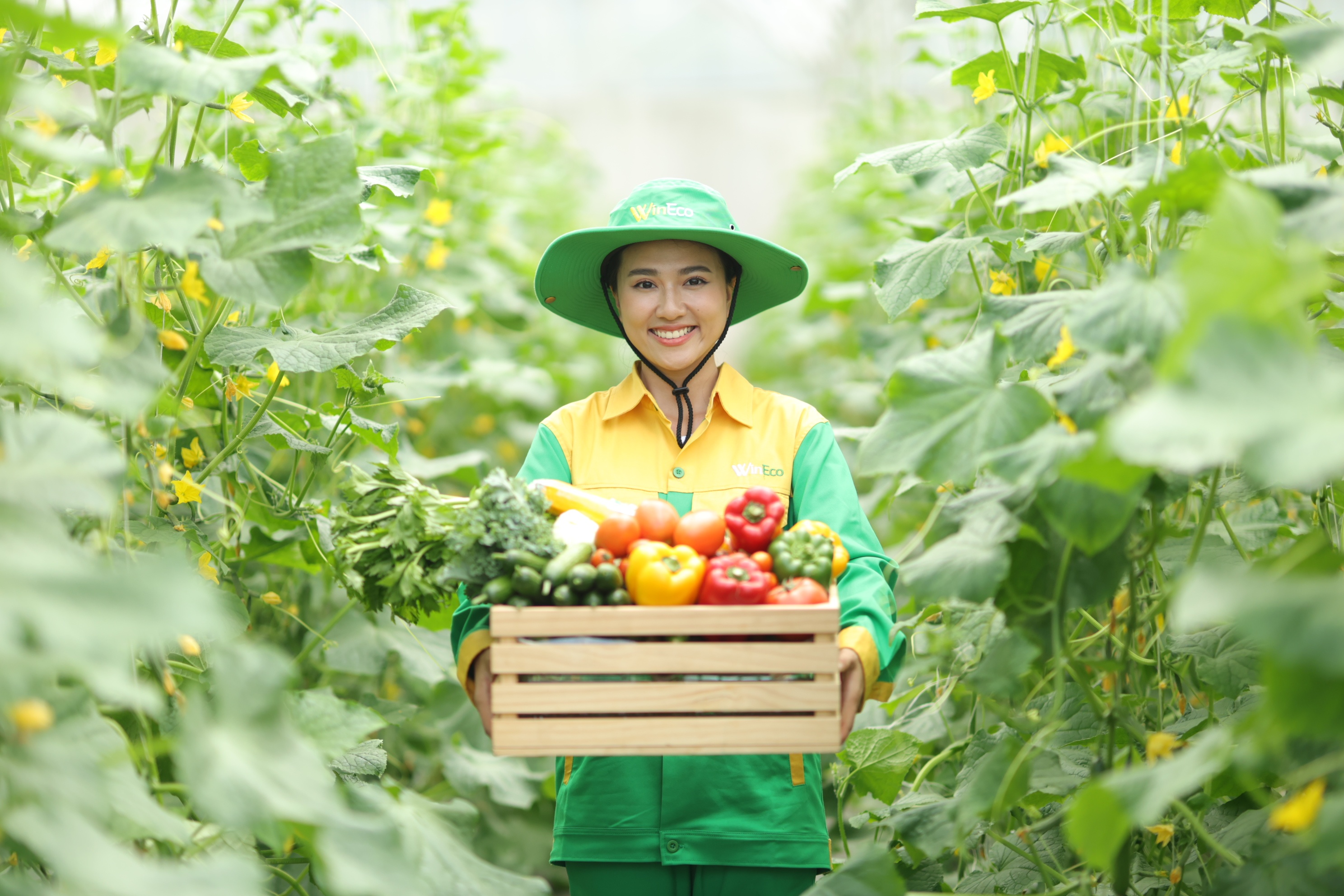 WinEco,  nong nghiep xanh anh 6