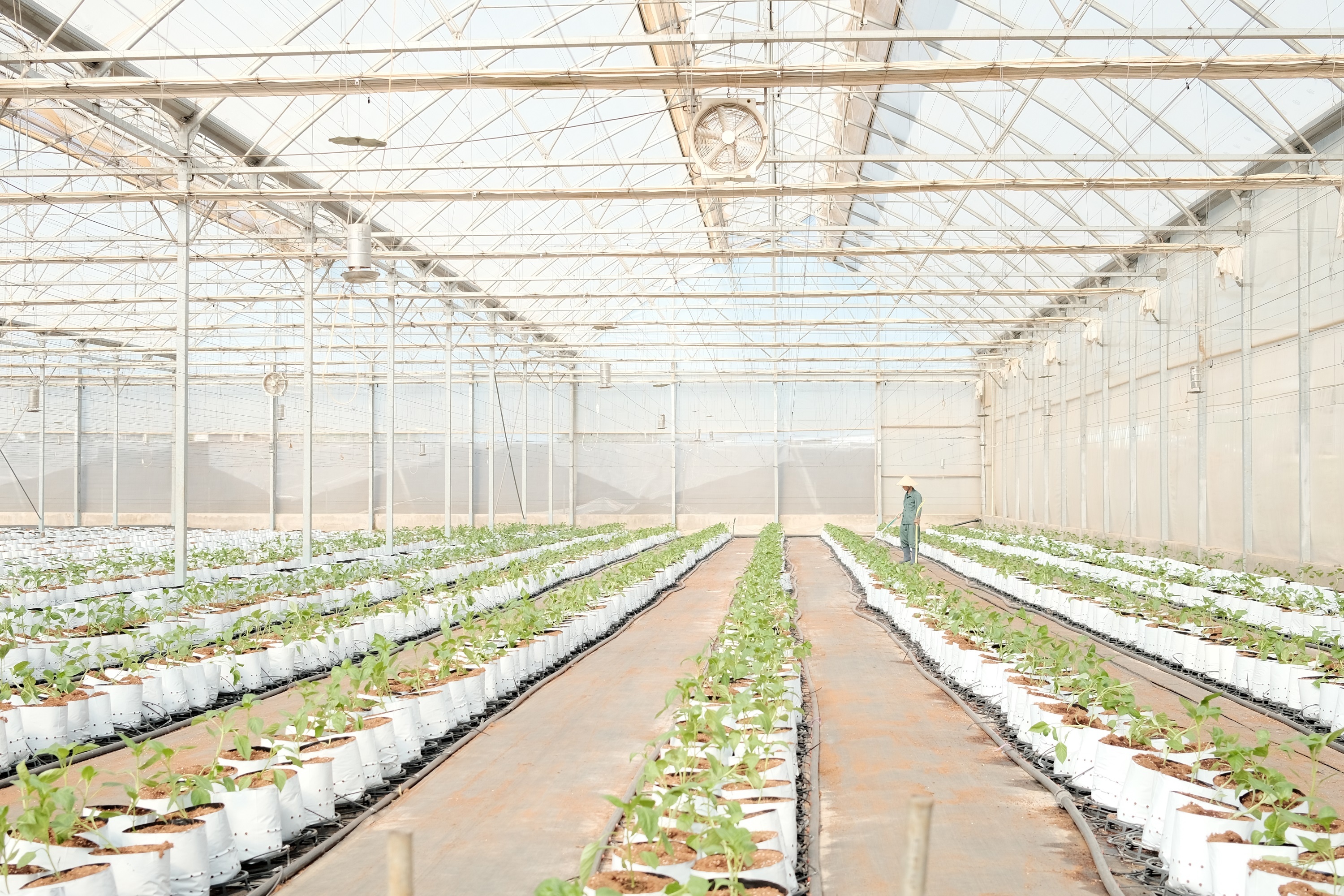 WinEco,  nong nghiep xanh anh 2