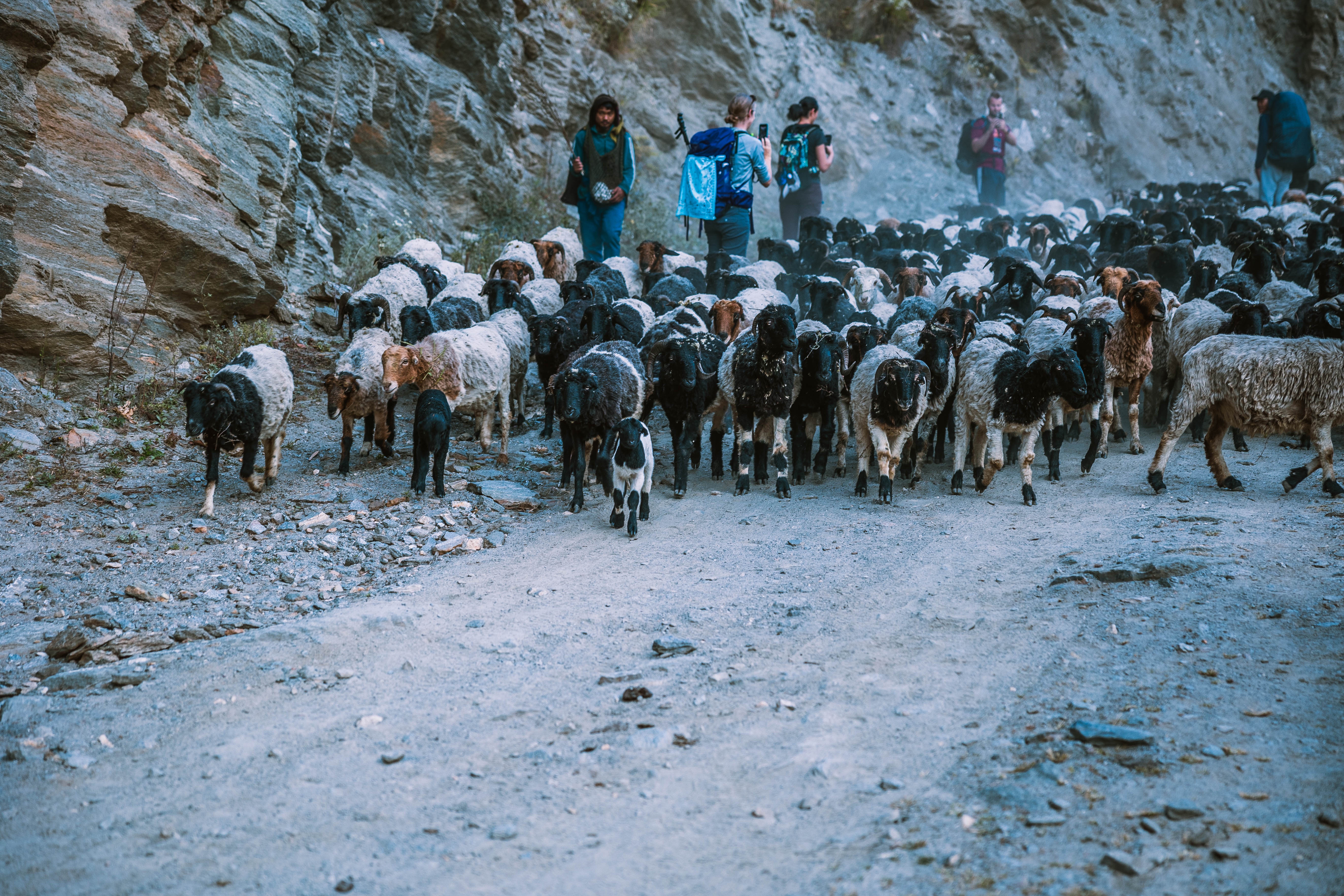 du lich,  travel anh 9