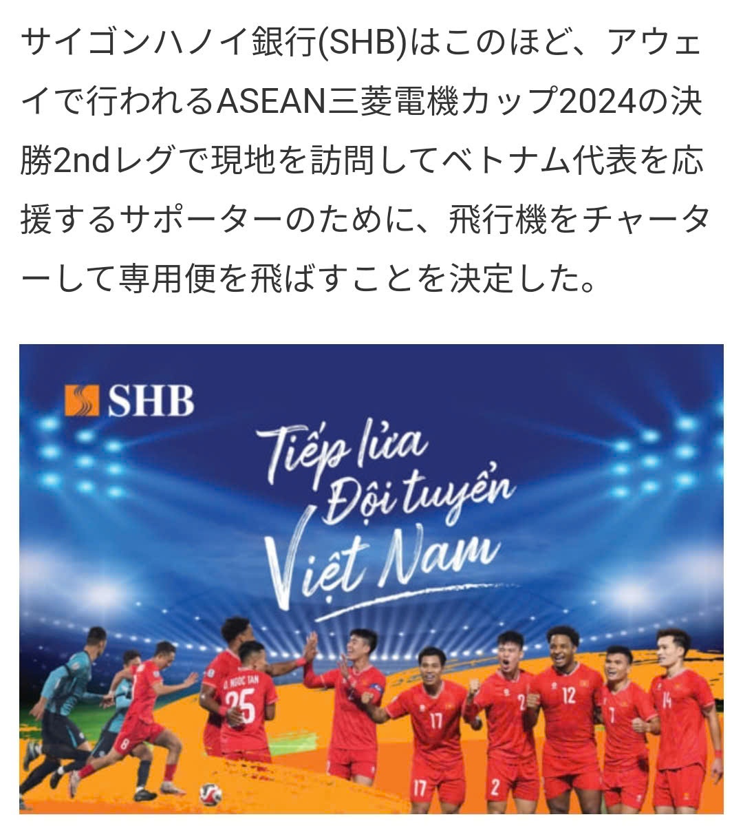 Doi tuyen Viet Nam anh 2