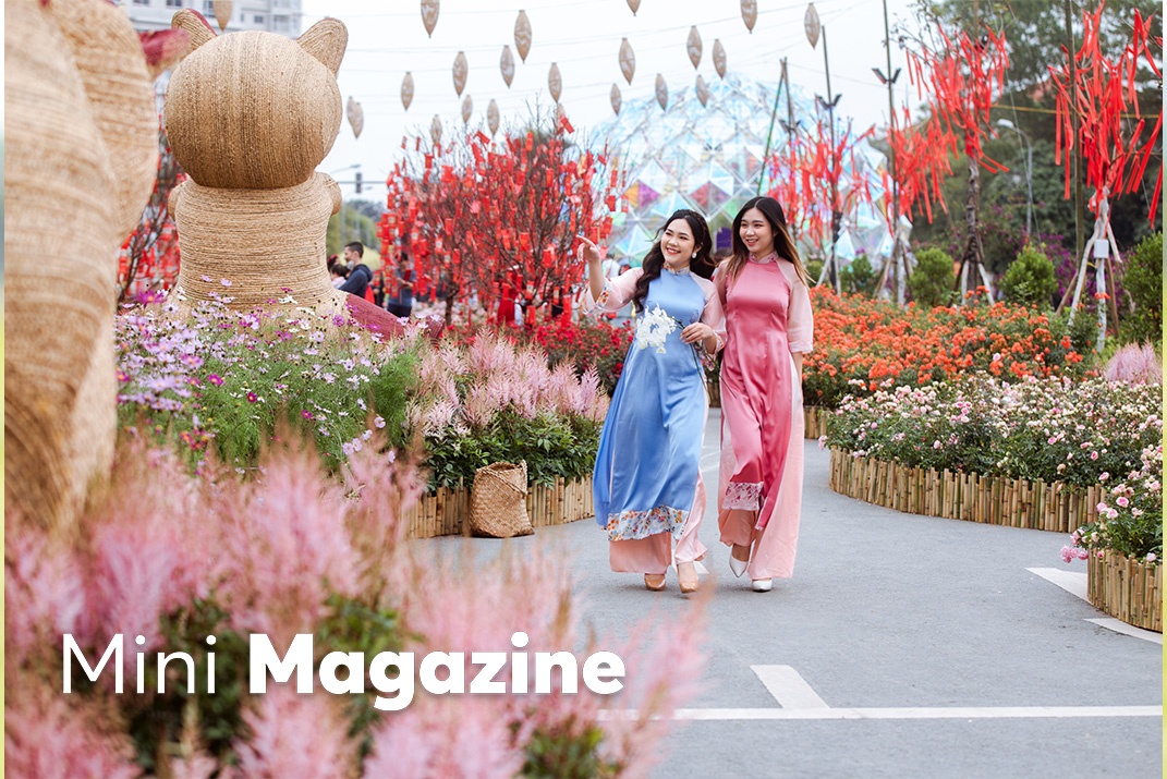 Home Hanoi Xuan va hanh trinh ton vinh tinh hoa Tet Viet hinh anh