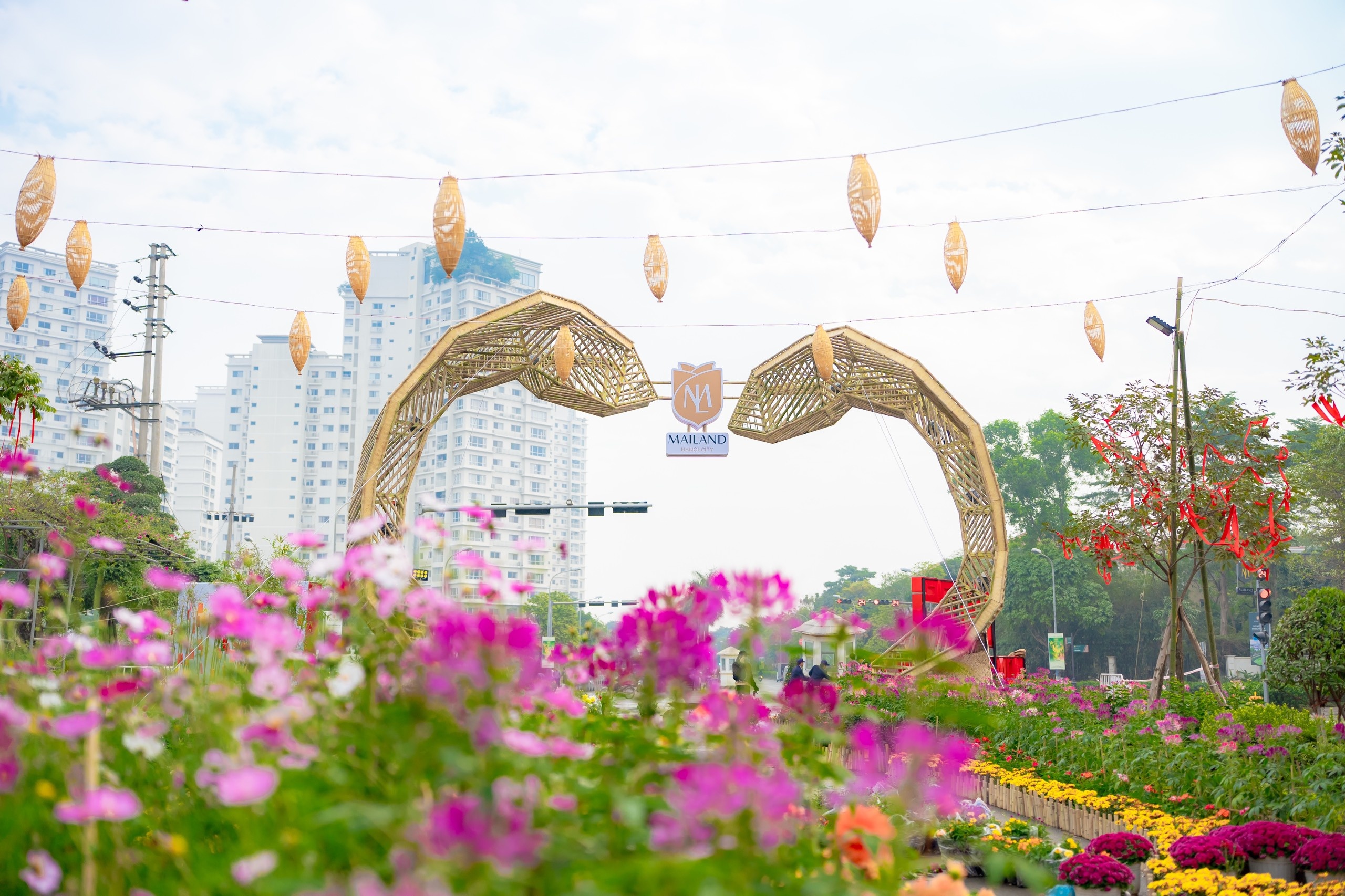 Home Hanoi Xuan 2025: 'Nghe' thanh am Tet Viet truoc gio ngan vang hinh anh