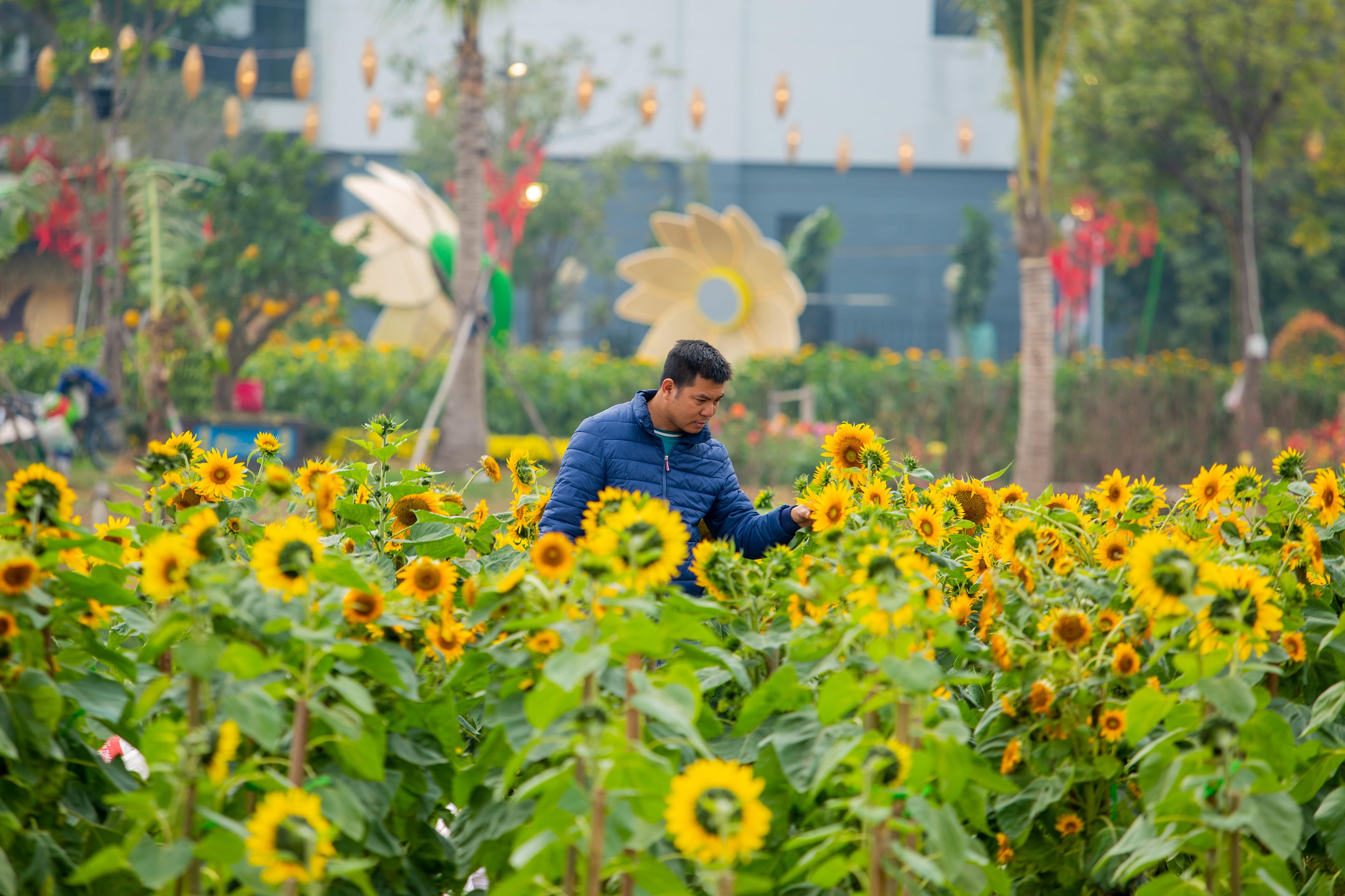 Home Hanoi Xuan anh 11