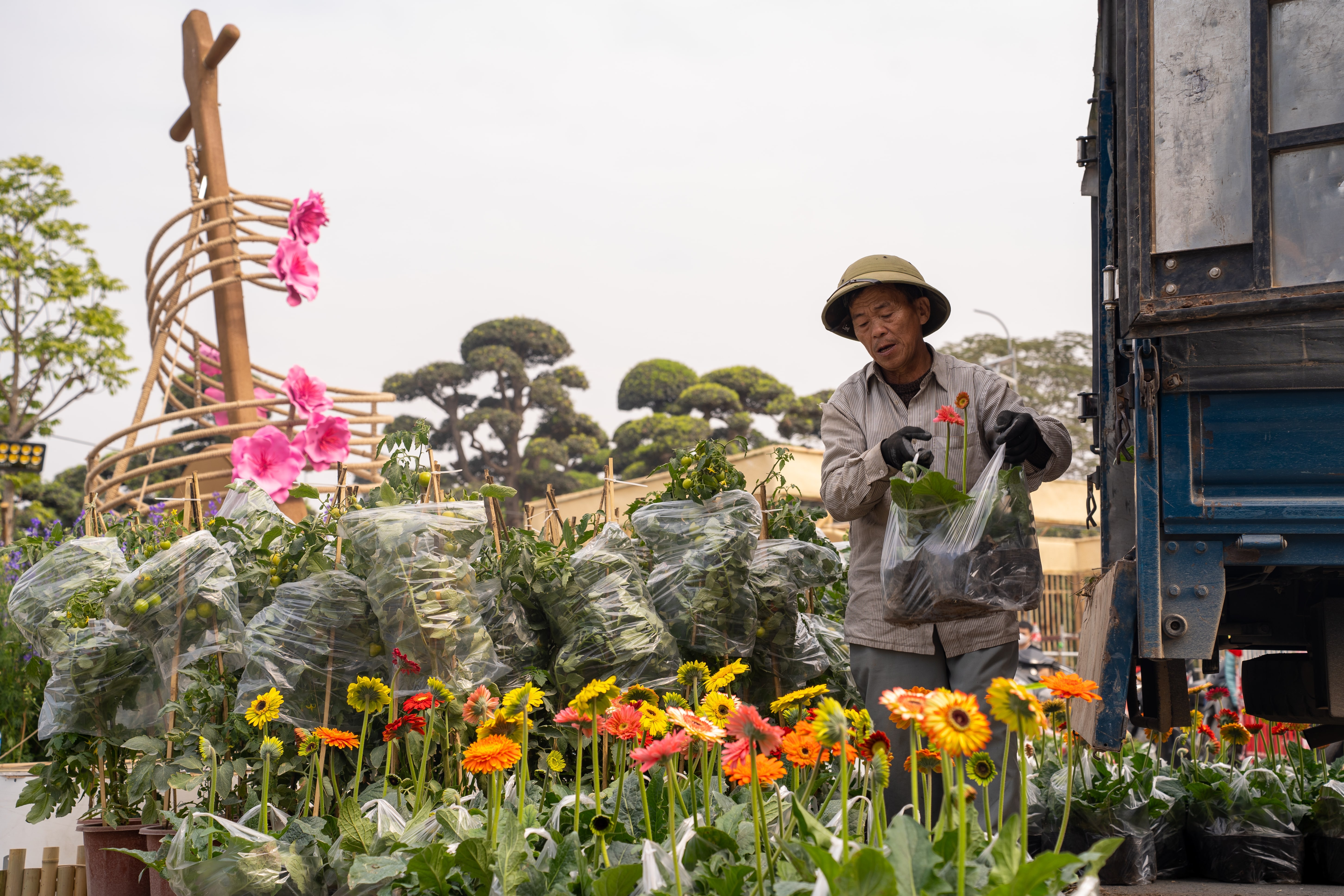 Home Hanoi Xuan ảnh 6 Home Hanoi Xuan anh 6