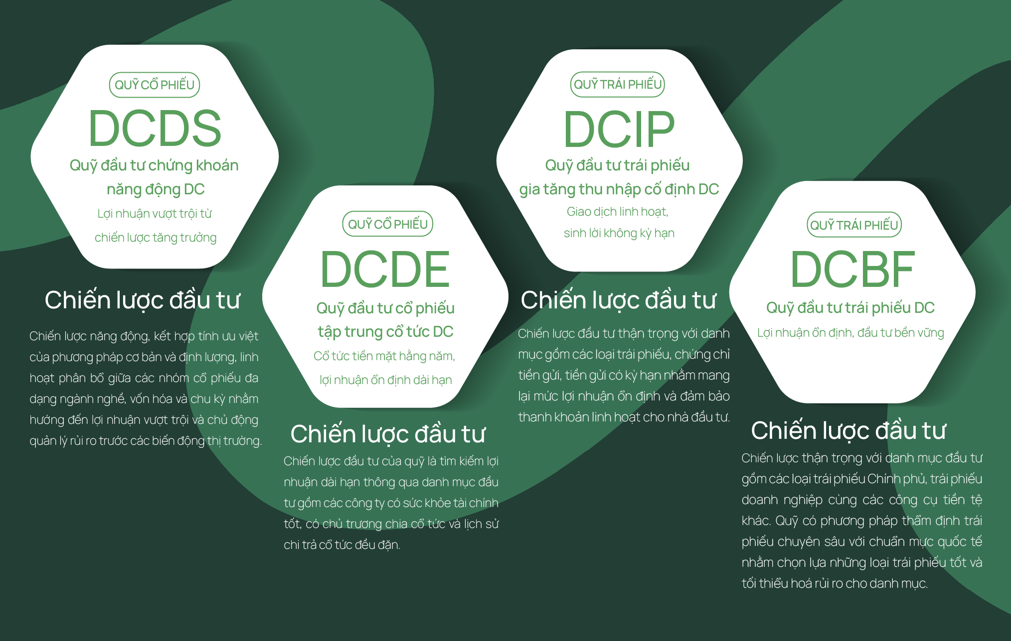 Dragon Capital anh 14