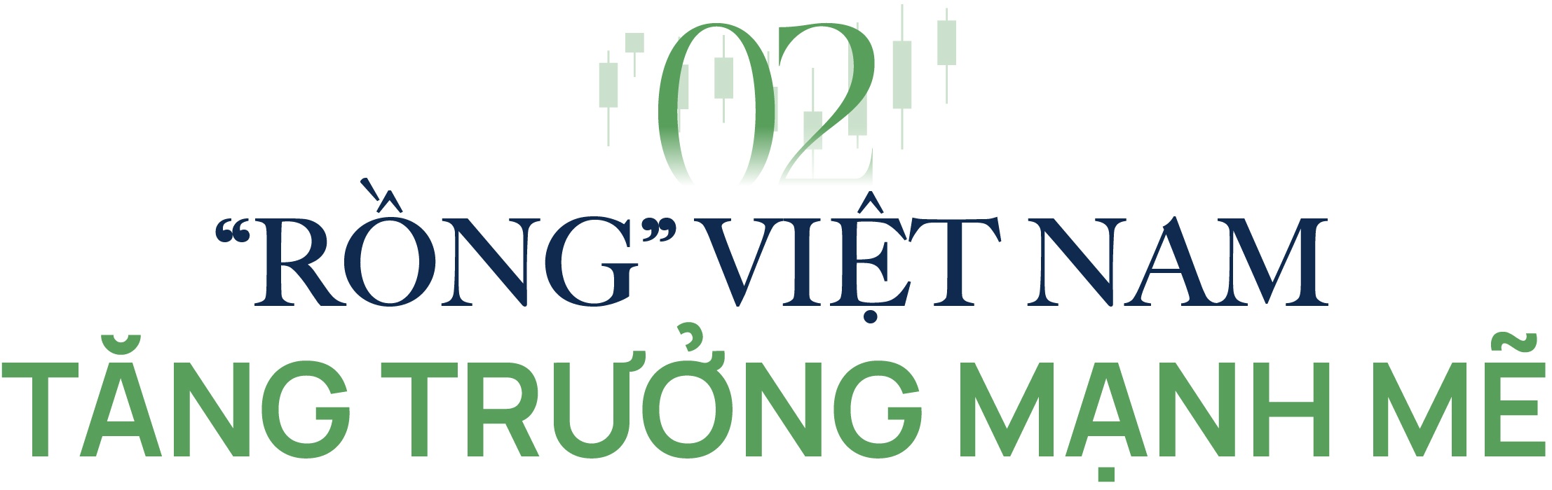 Dragon Capital anh 4