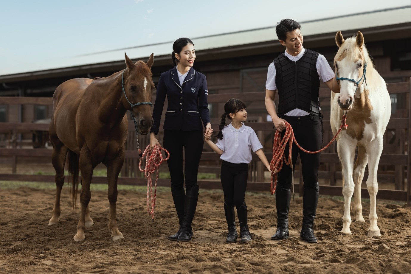 Vinpearl Vũ Yên, Vinpearl Horse Academy ảnh 4 Vinpearl Vu Yen, Vinpearl Horse Academy anh 4