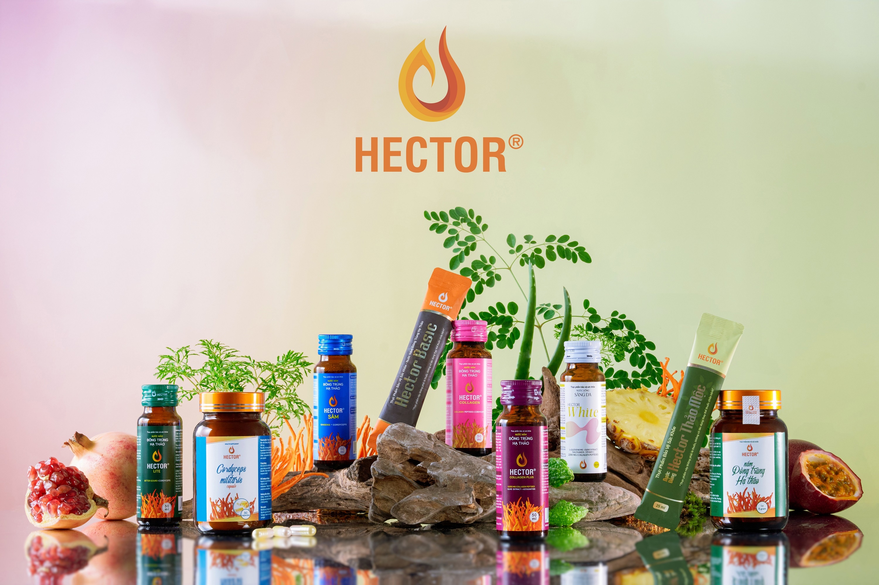 Hector Collagen Plus, Hector Lite ảnh 7 Hector Collagen Plus, Hector Lite anh 7