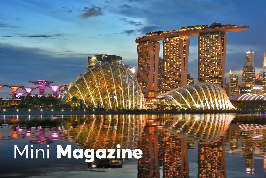 Dao quanh mot Singapore ve dem lung linh kho cuong hinh anh