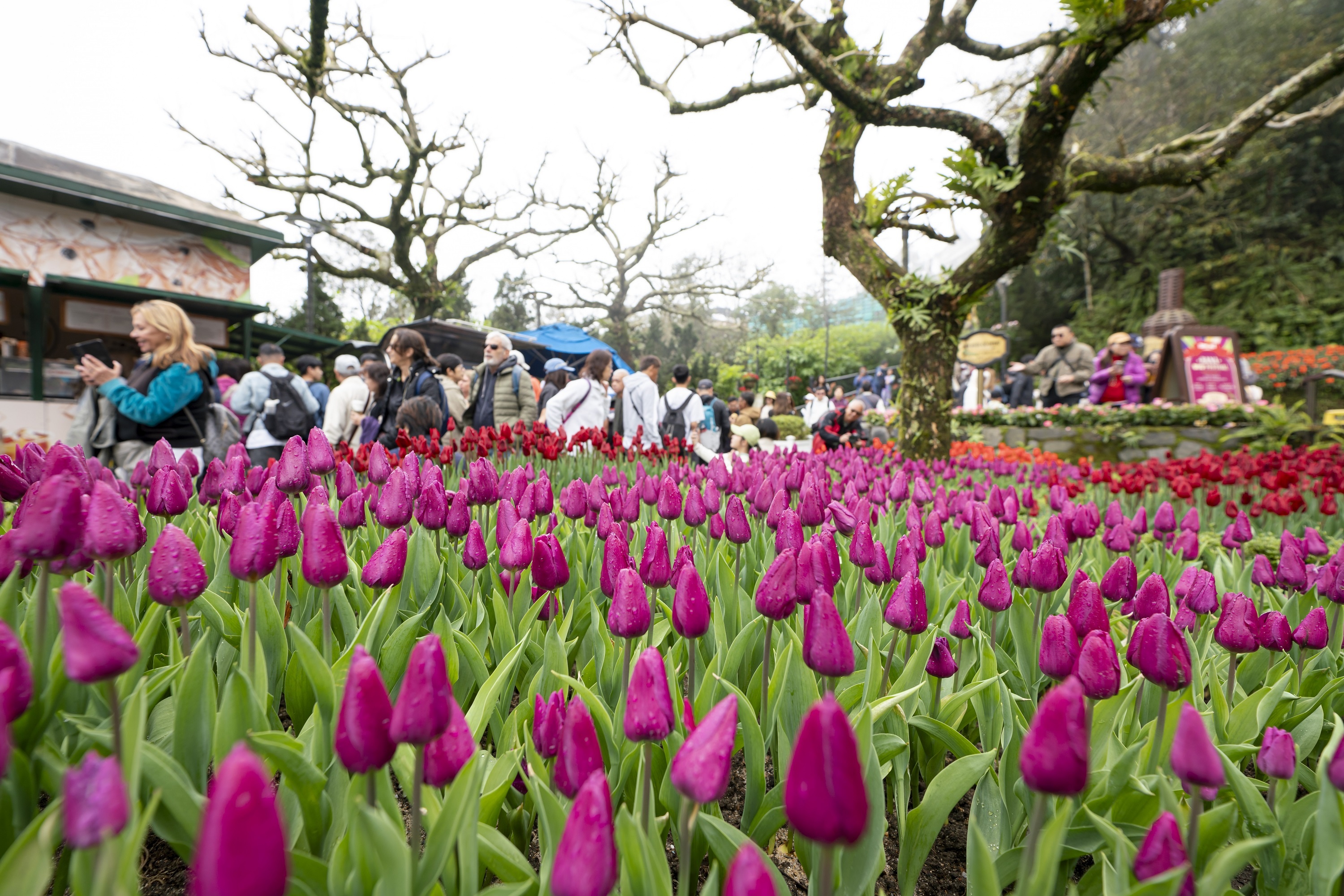 3 san pham du lich moi thu hut dong dao du khach den Da Nang hinh anh
