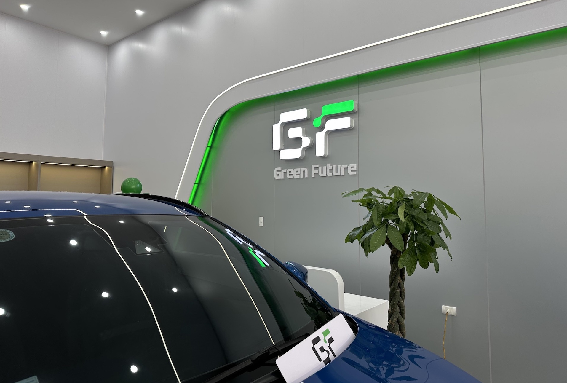 FGF doi ten va nhan dien thuong hieu, cam ket vi tuong lai xanh hinh anh