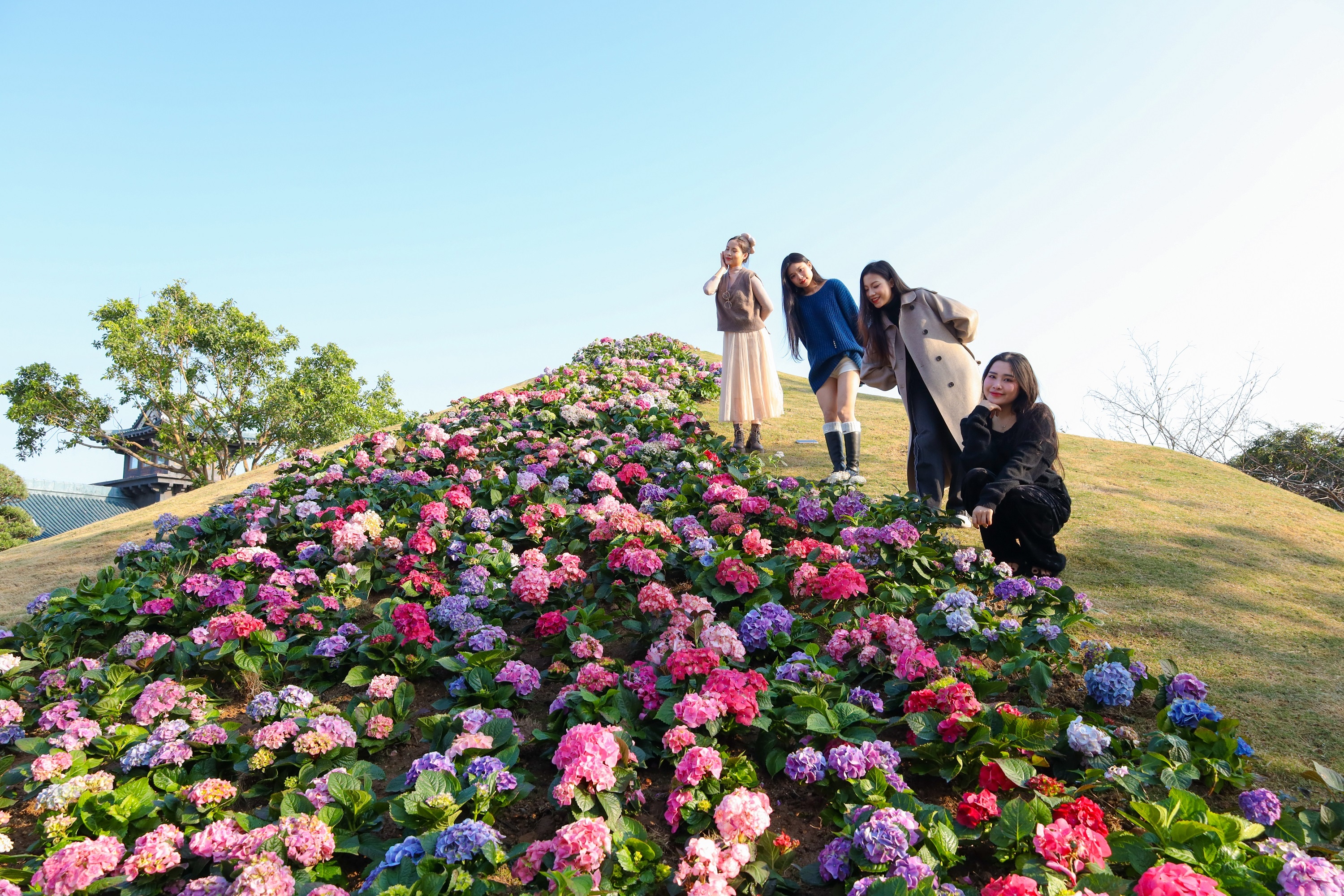 Đồi Bầu Trời,  Sun World Ha Long,  Đồi Mặt Trời ảnh 2 Doi Bau Troi,  Sun World Ha Long,  Doi Mat Troi anh 2