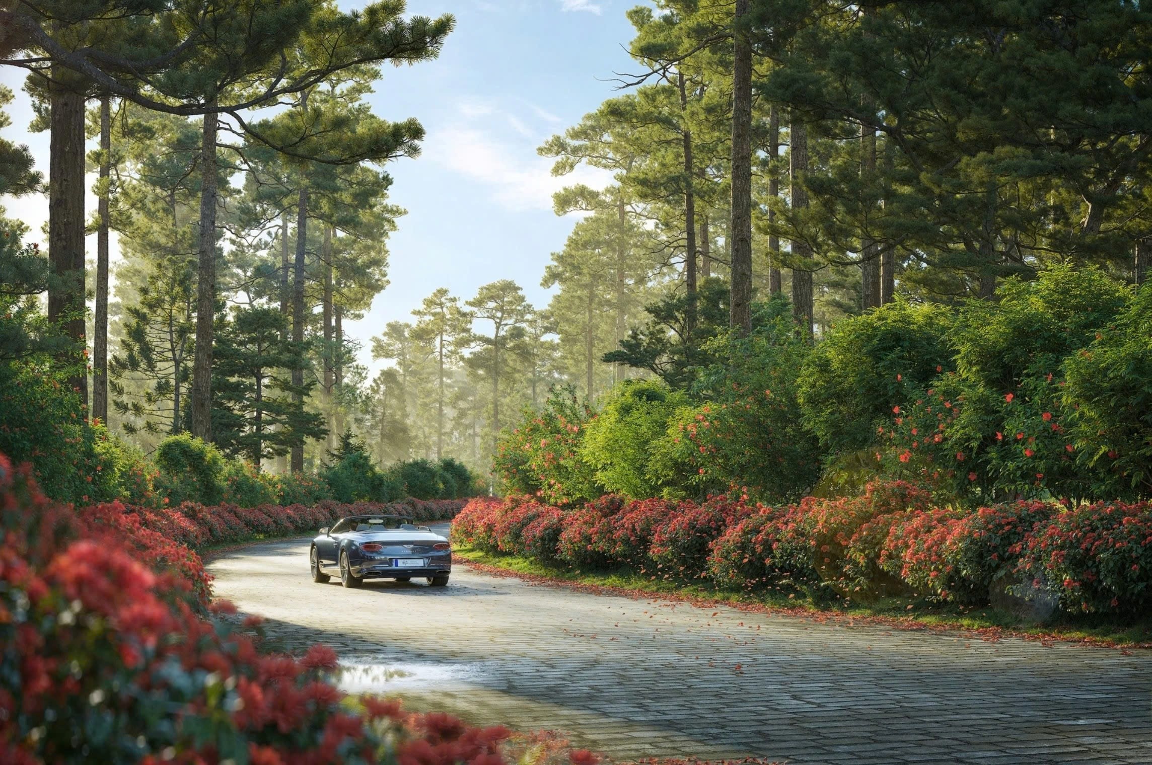 Thanh Xuan Valley - mien an tru giua thien nhien nguyen ban hinh anh