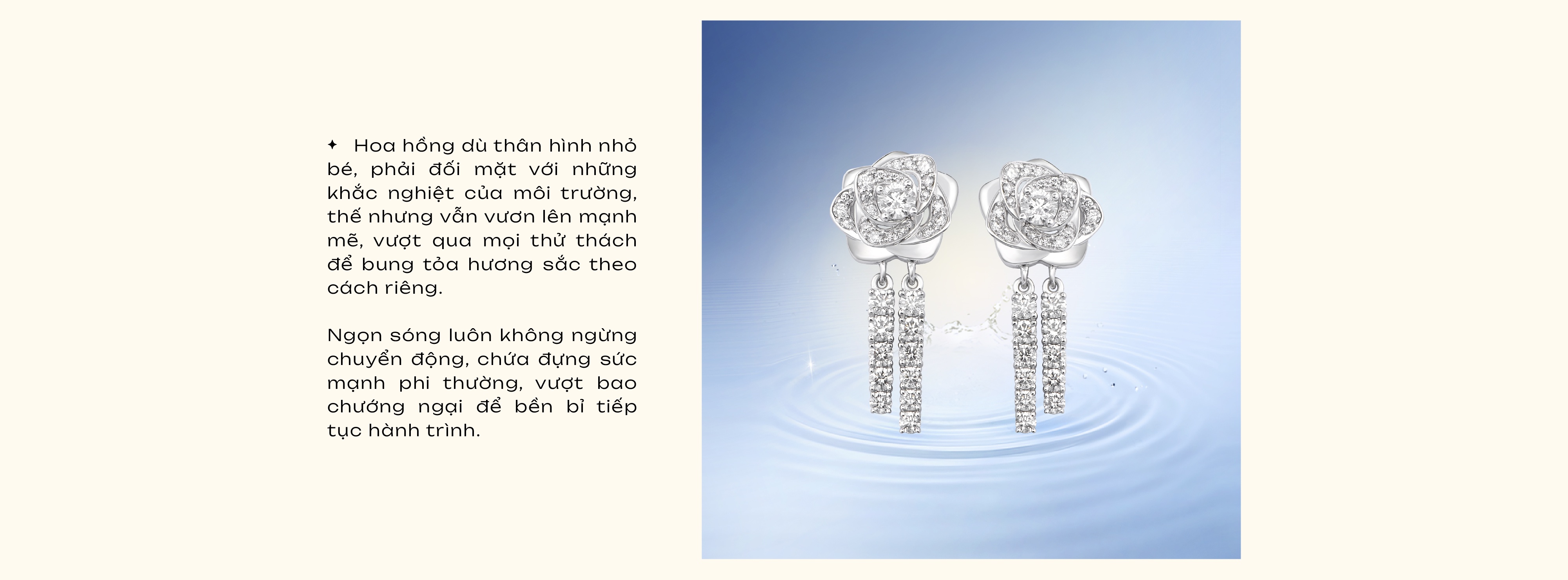 PNJ ảnh 5 PNJ anh 5