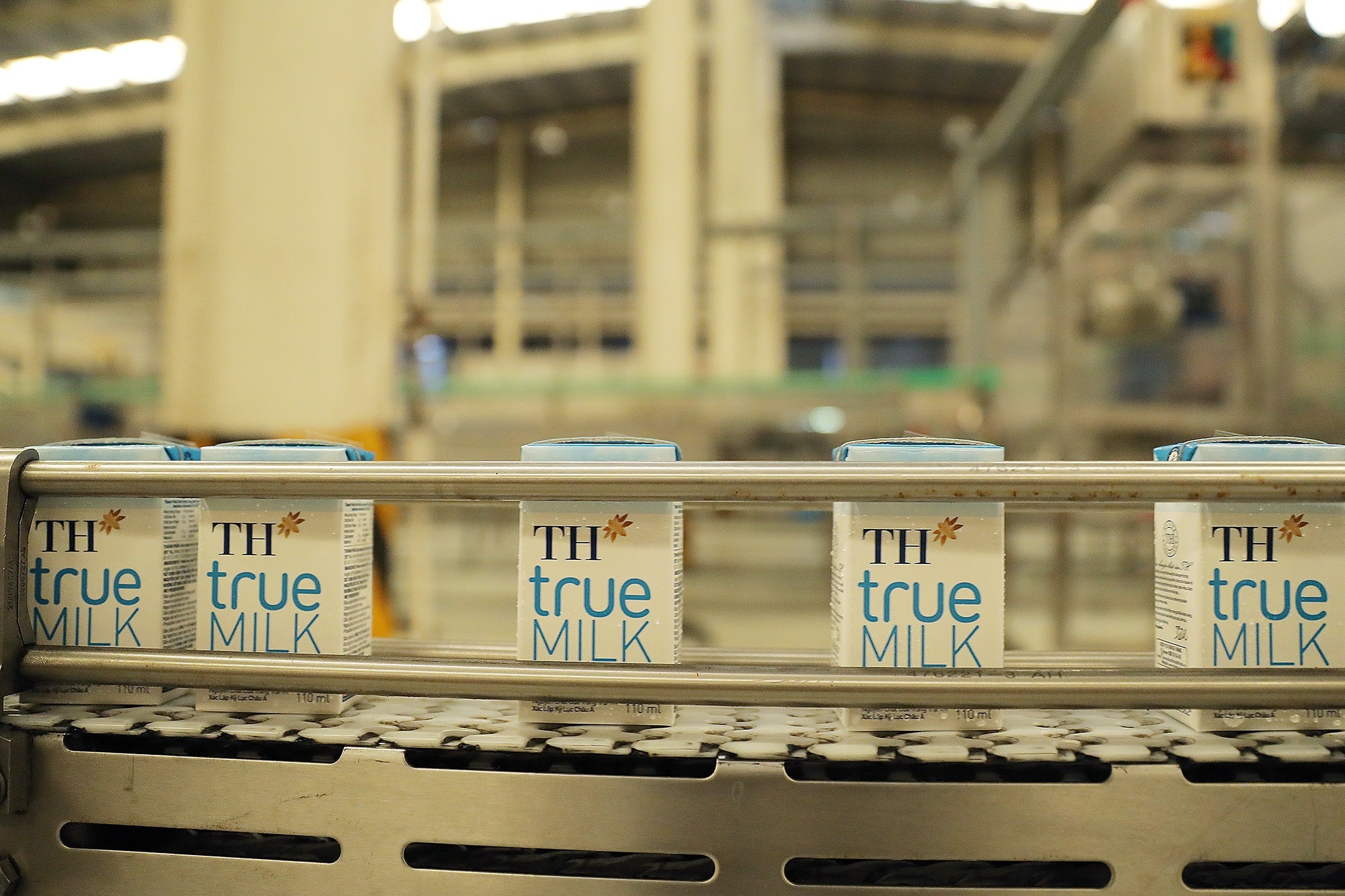 TH Milk anh 4