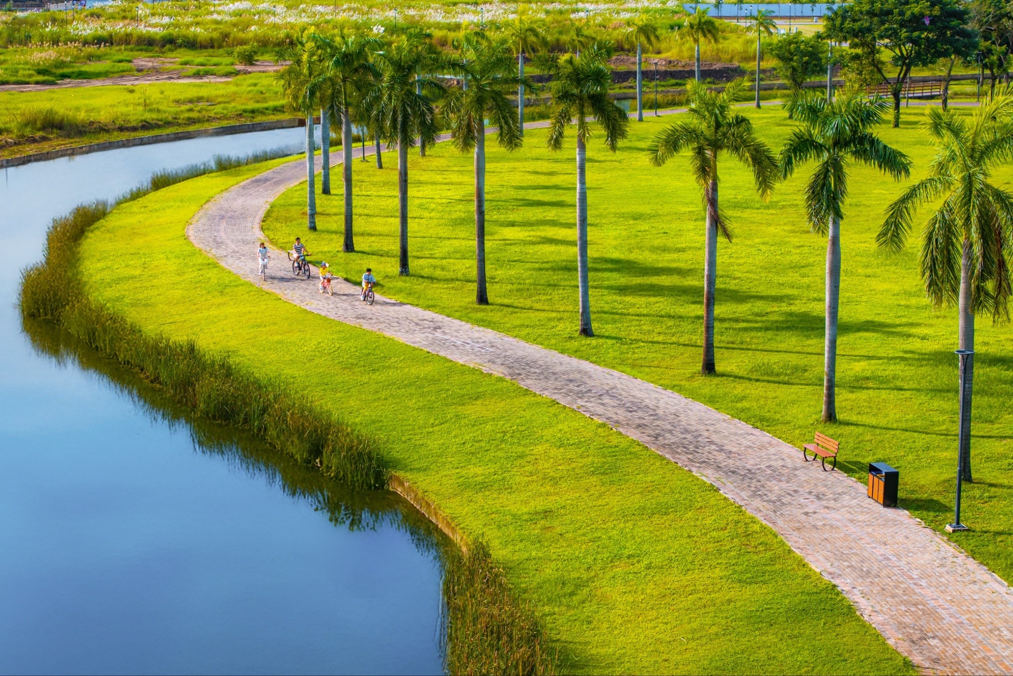 Waterpoint - noi song om nha, cay xanh phu bong hinh anh