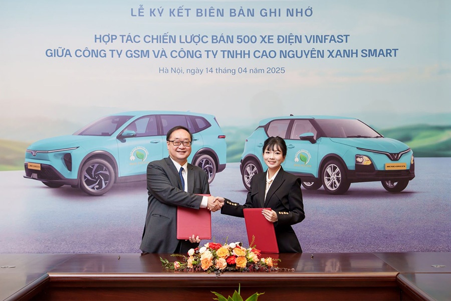 Cao Nguyen Xanh Smart mua 500 xe dien Xanh SM, van hanh taxi dien hinh anh