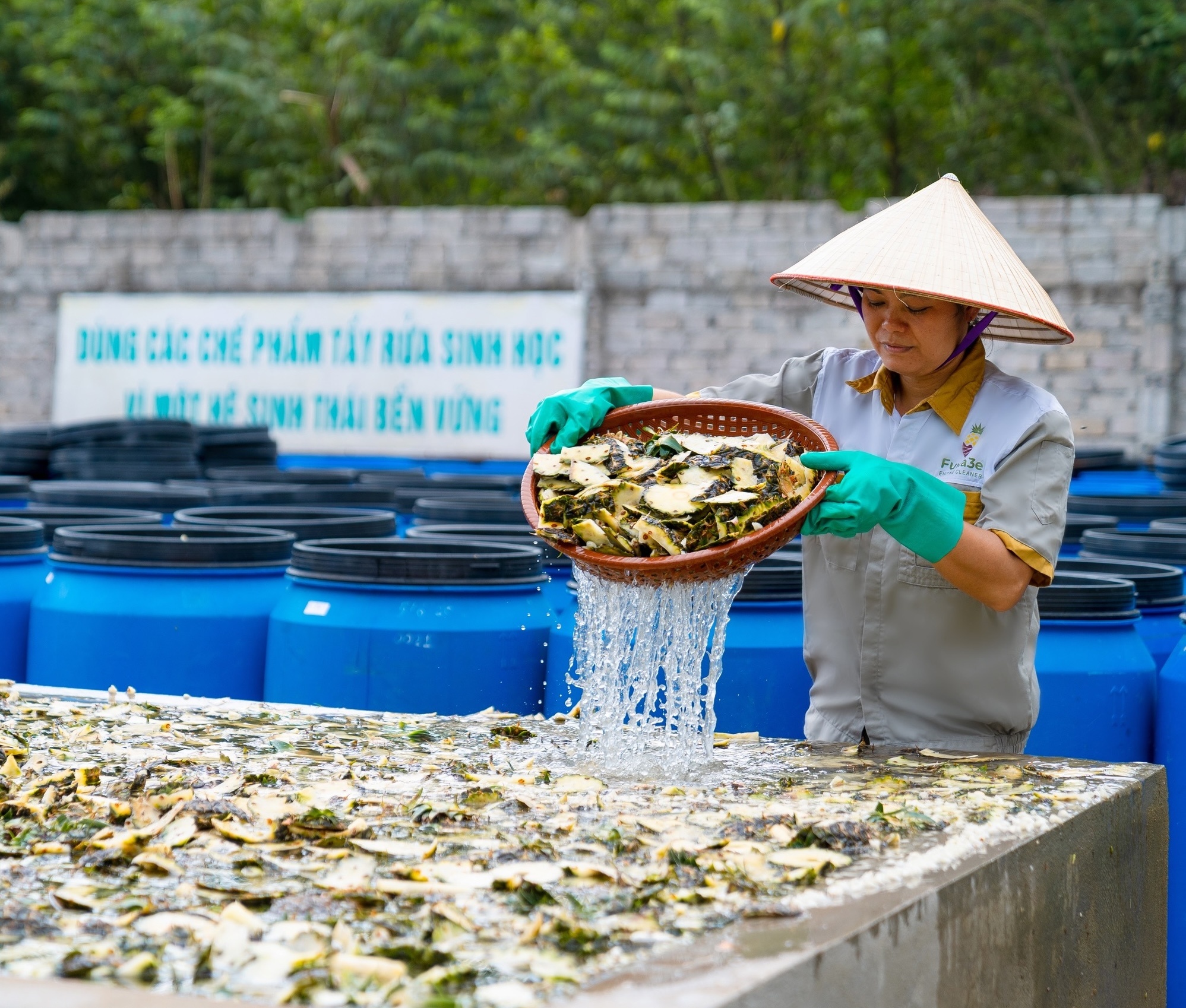 Tinh hoa Viet chung suc anh 10